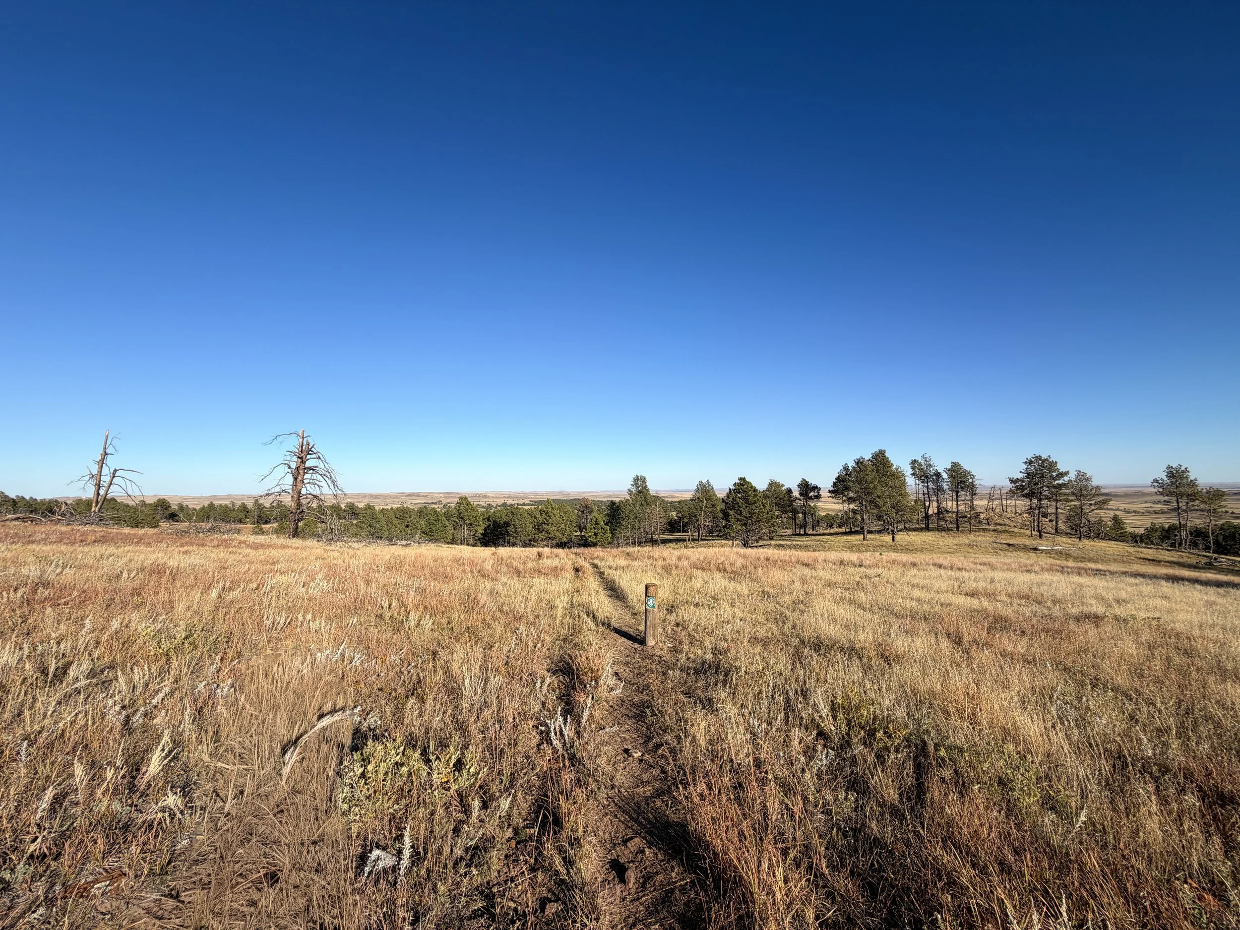 Boland Ridge Hike Wind Cave National Park South Dakota