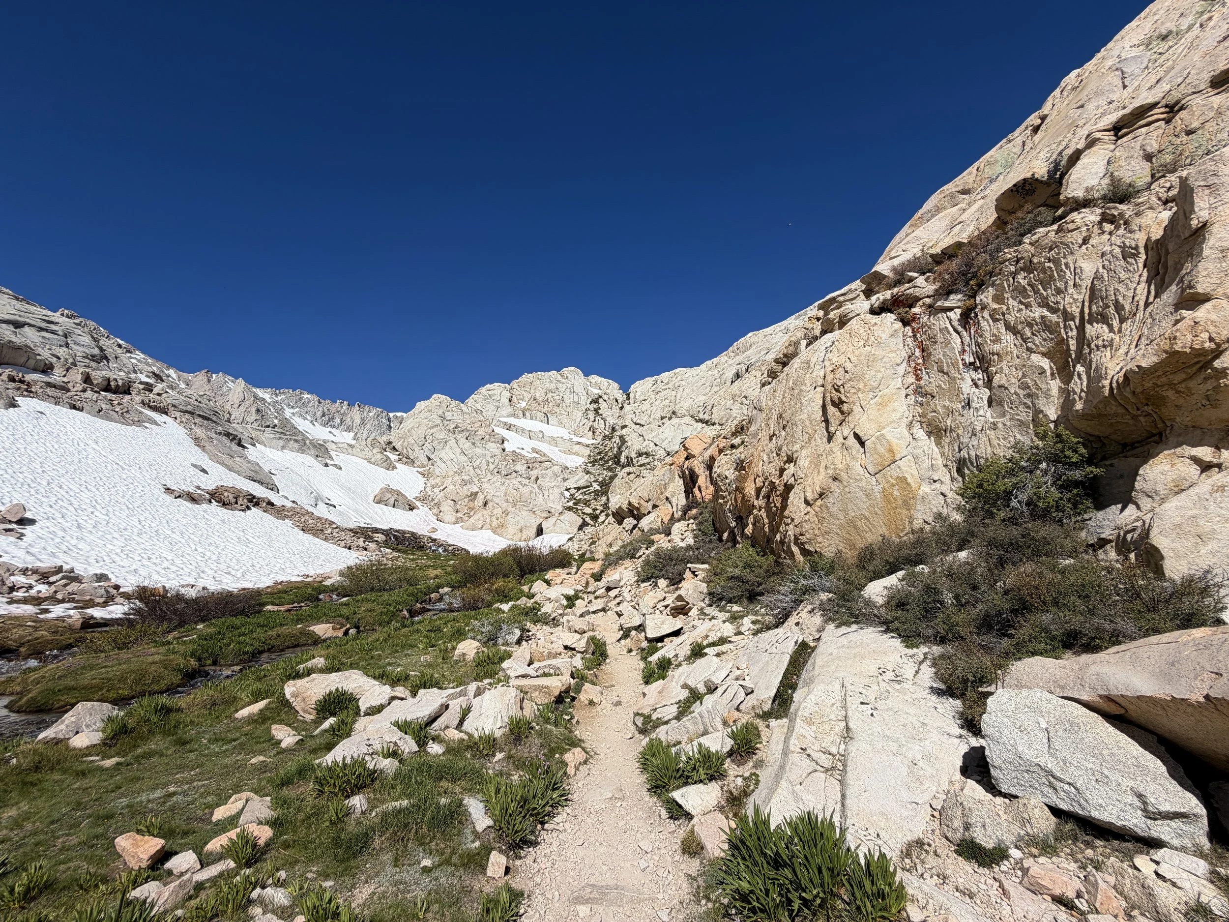 Trailside Meadow Mount Whitney Trail via Lone Pine California
