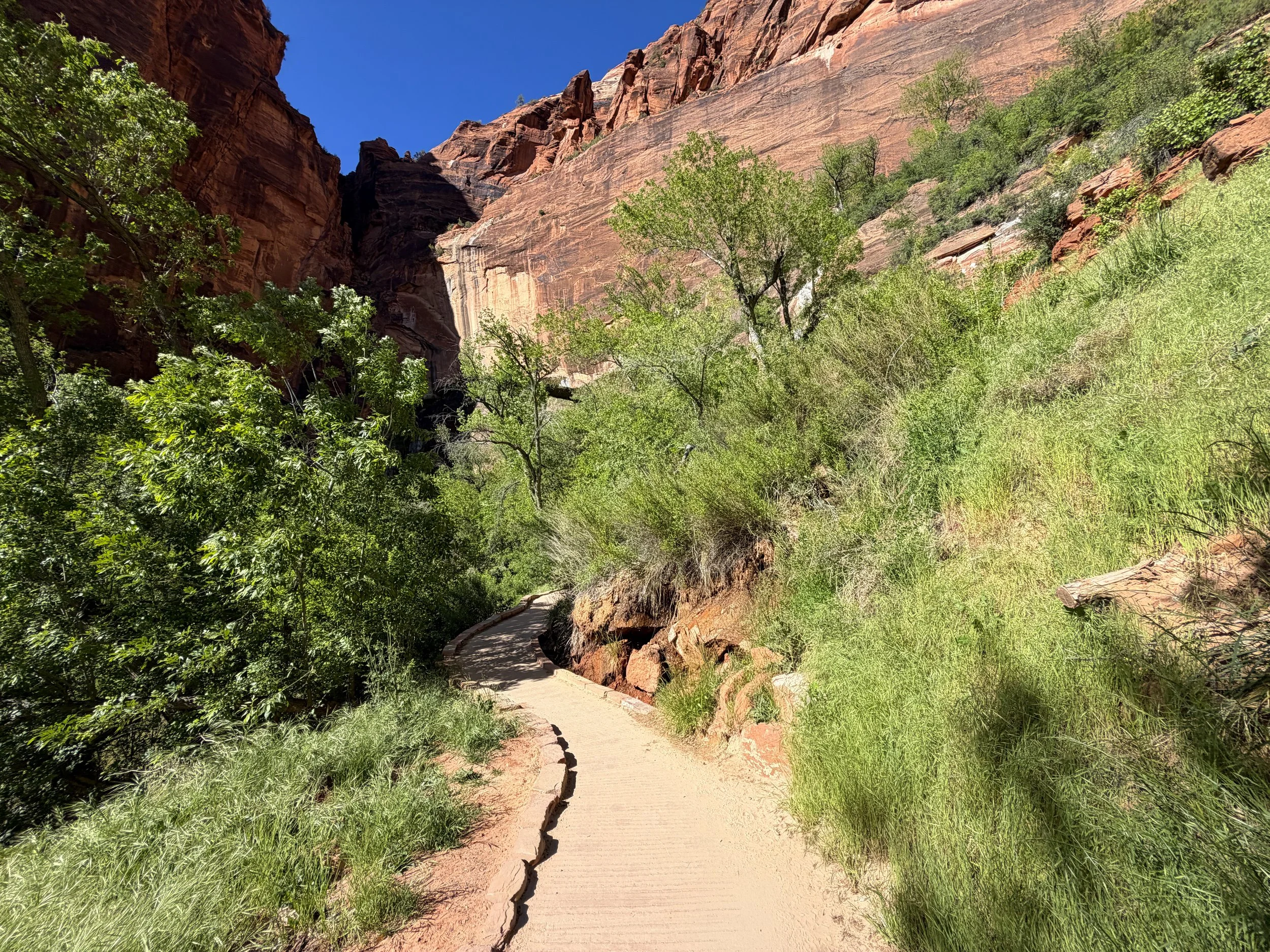 Weeping Rock Trail Zion National Park Utah