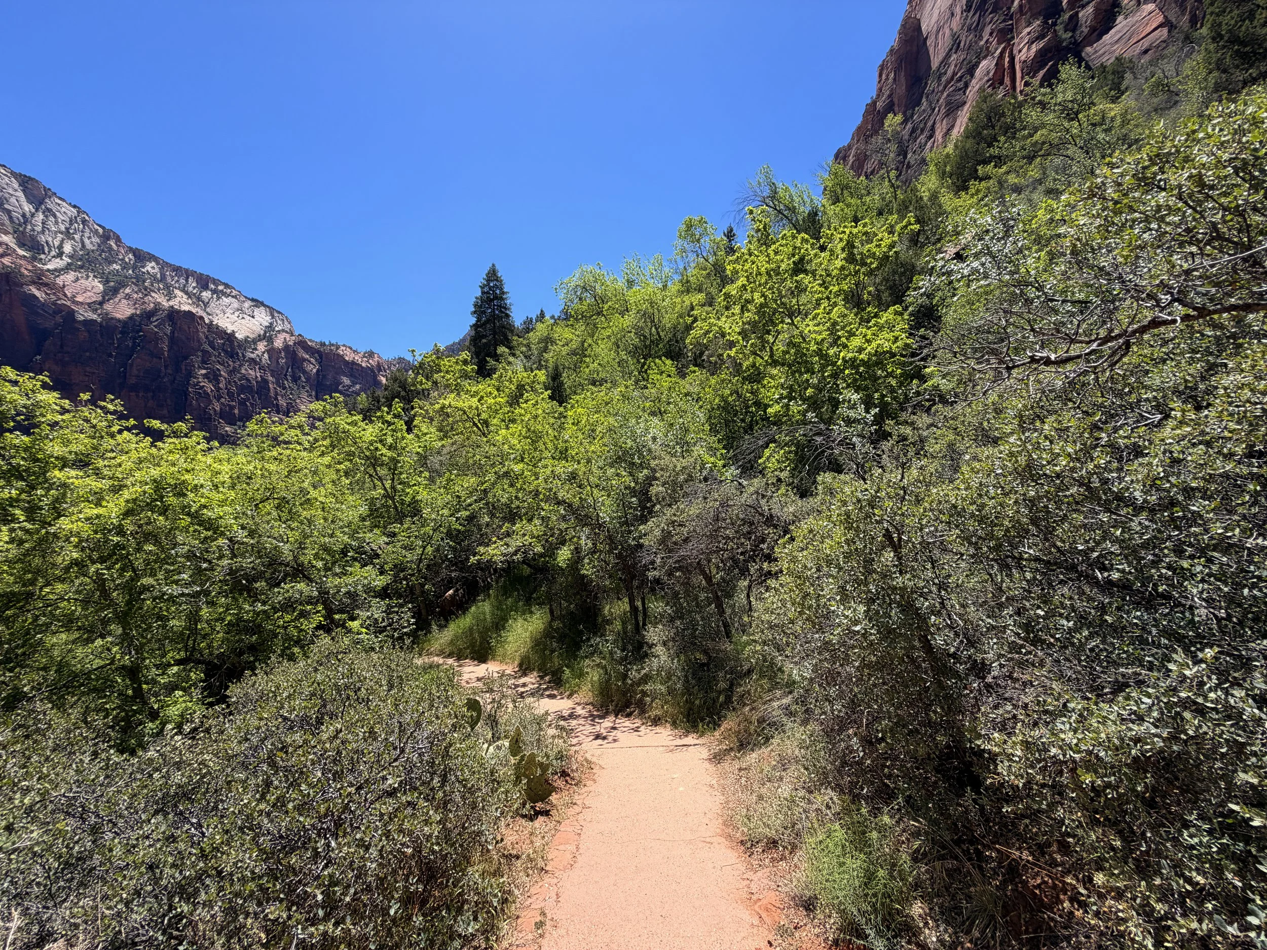 Middle Emerald Pool Trail Zion National Park Utah