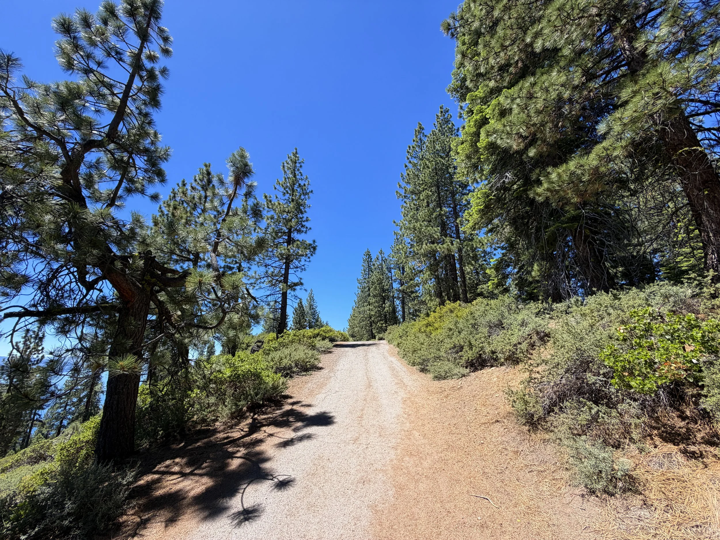 Stateline Lookout Trail Lake Tahoe California