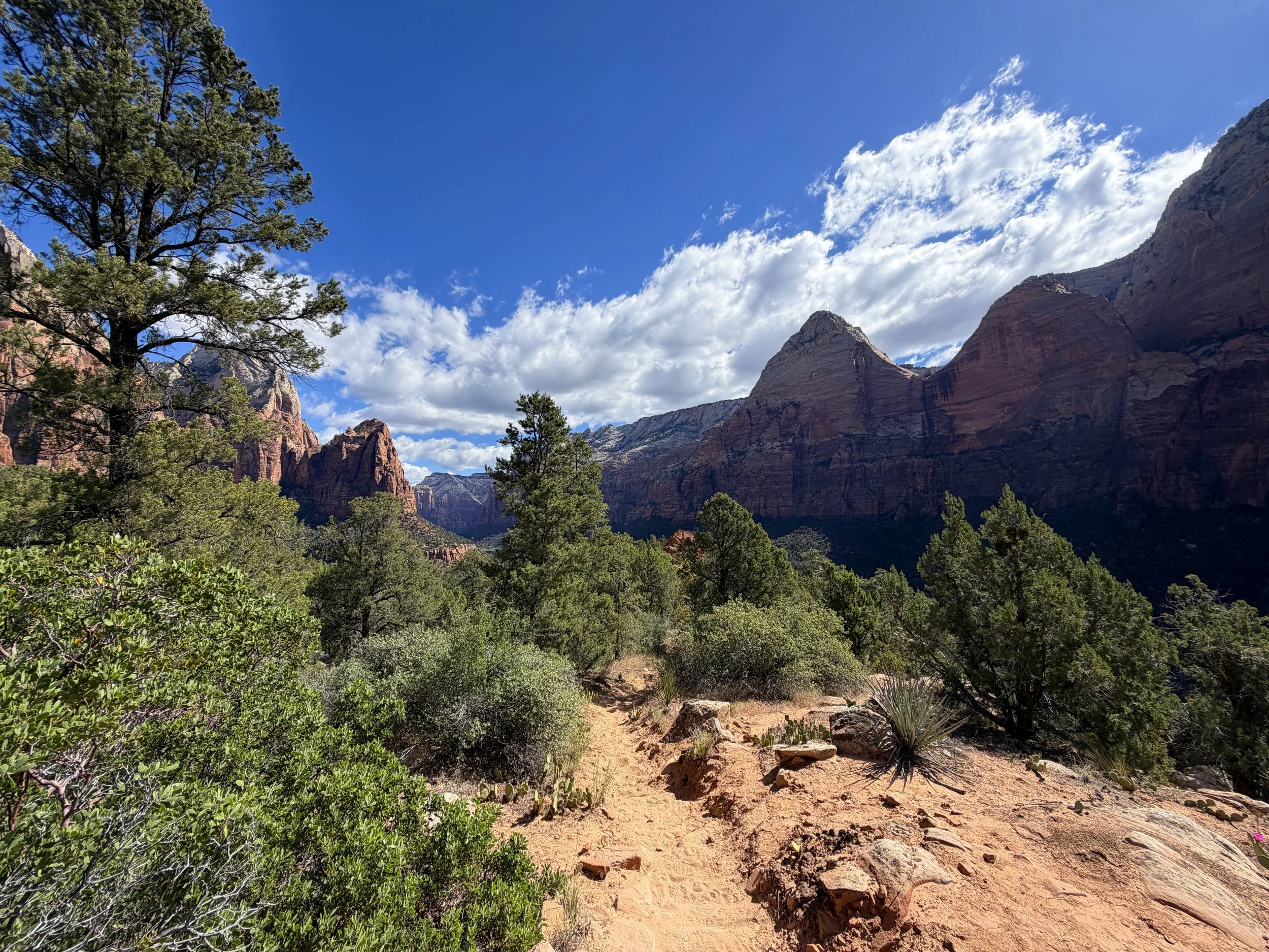 Sand Bench Loop Trail Zion National Park Utah