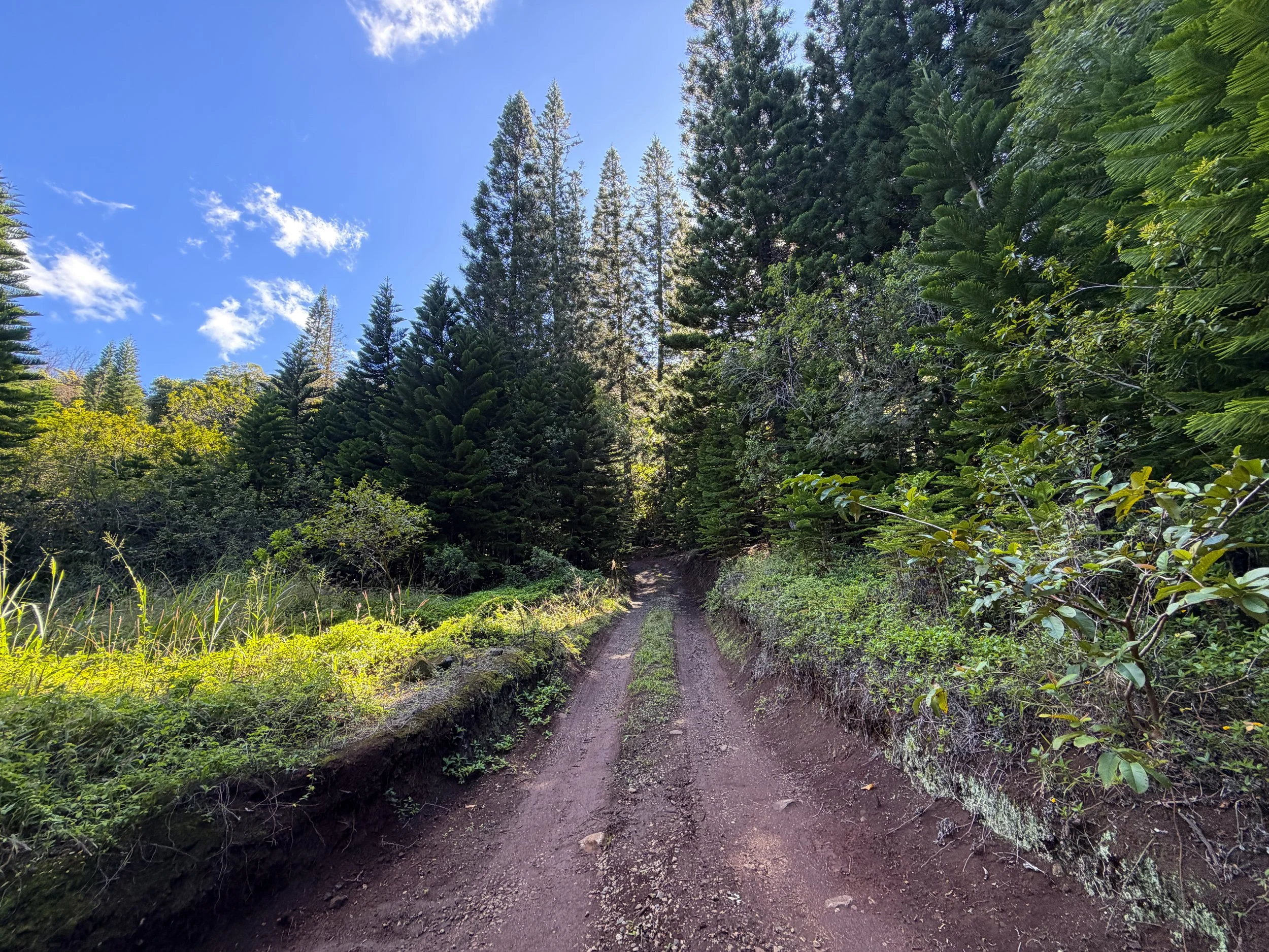 Peacock Flats Road to Mokuleia Trail Oahu Hawaii