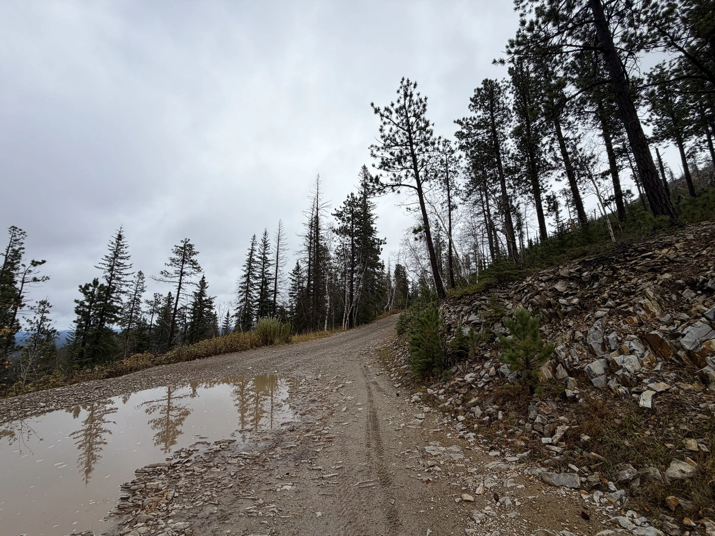 Custer Peak Lookout Hike Black Hills South Dakota