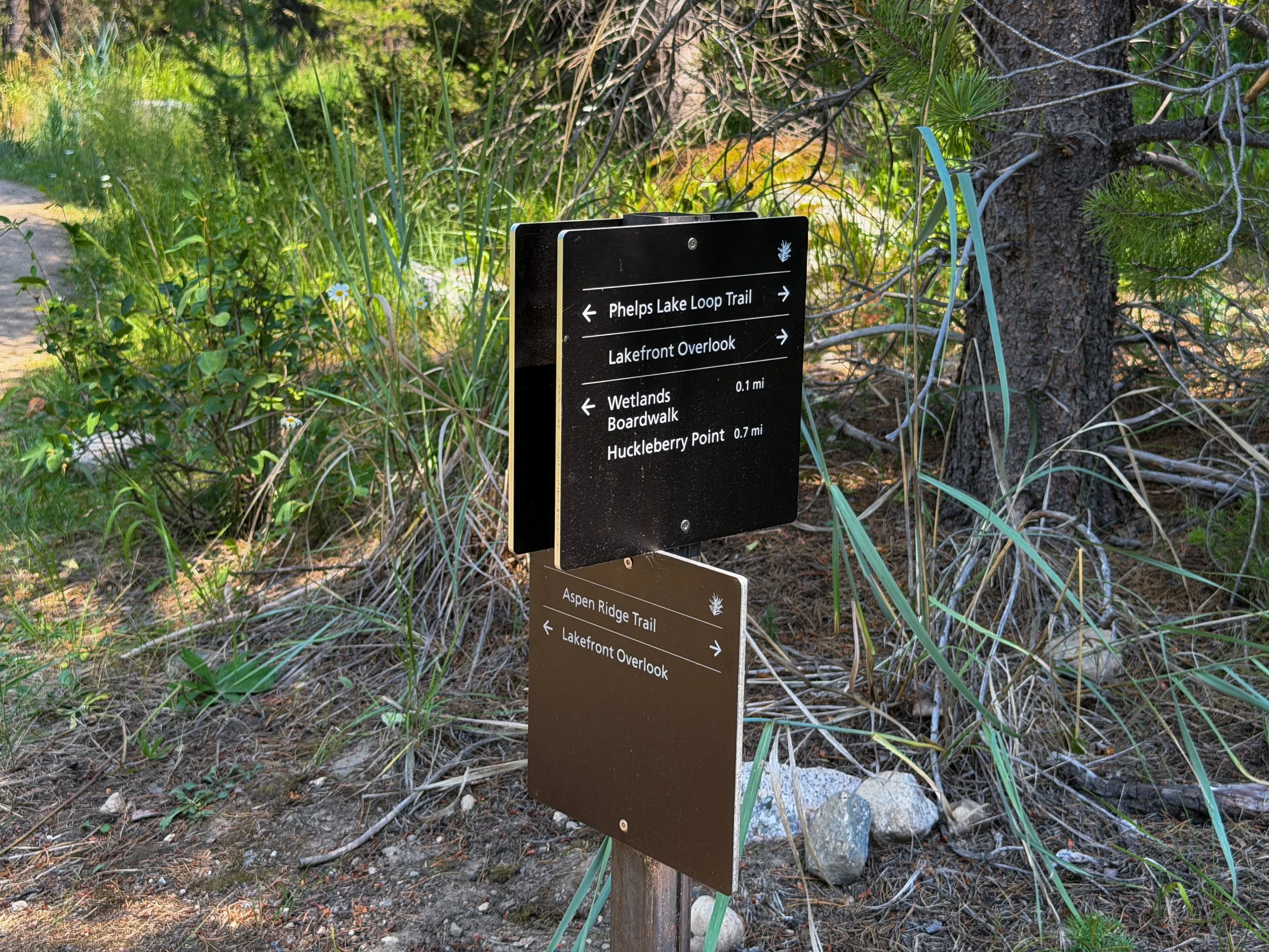 Phelps Lake Loop Trail Grand Teton National Park Wyoming