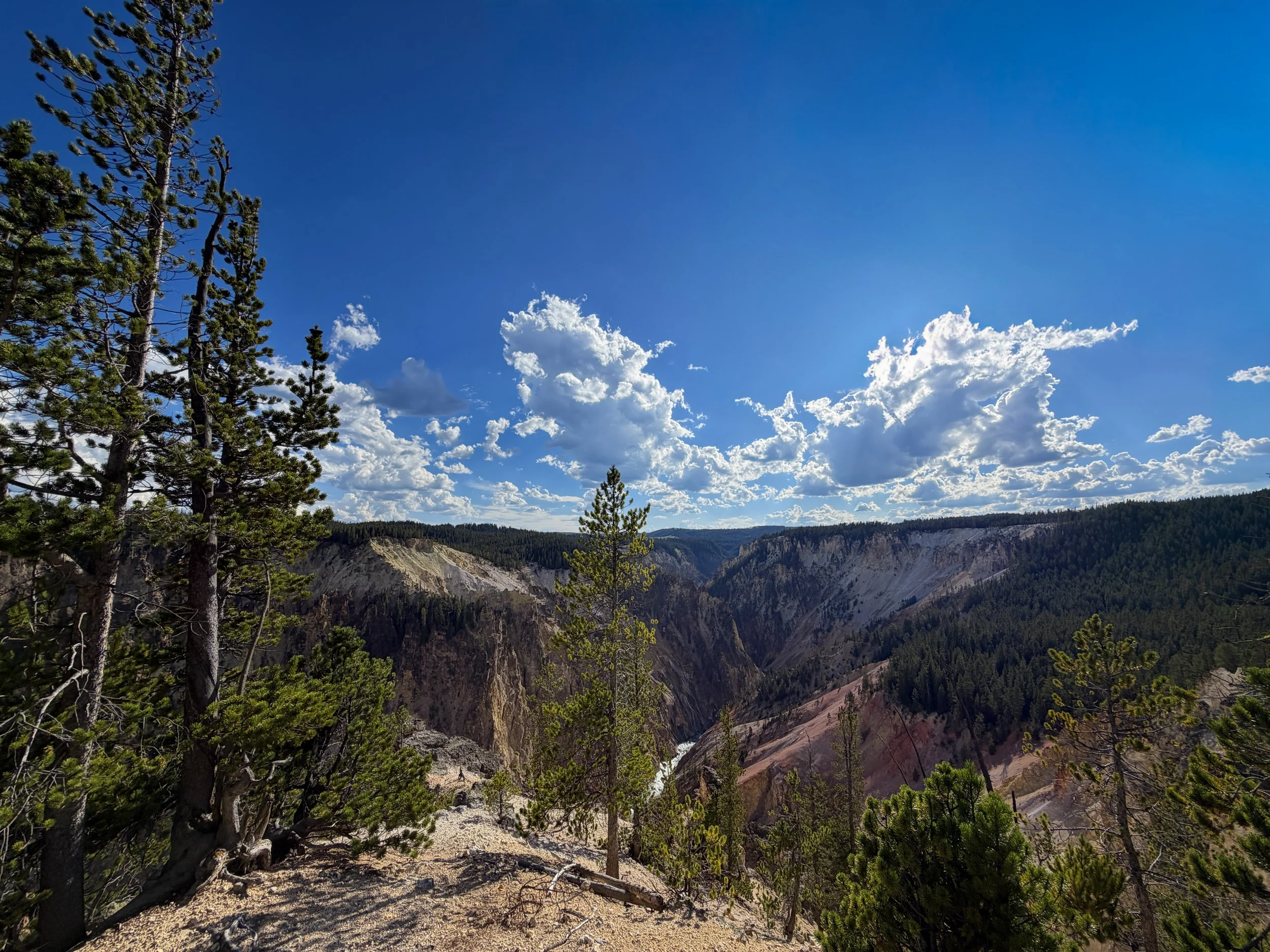 West Overlook Inspiration Point North Rim Trail Yellowstone National Park Wyoming
