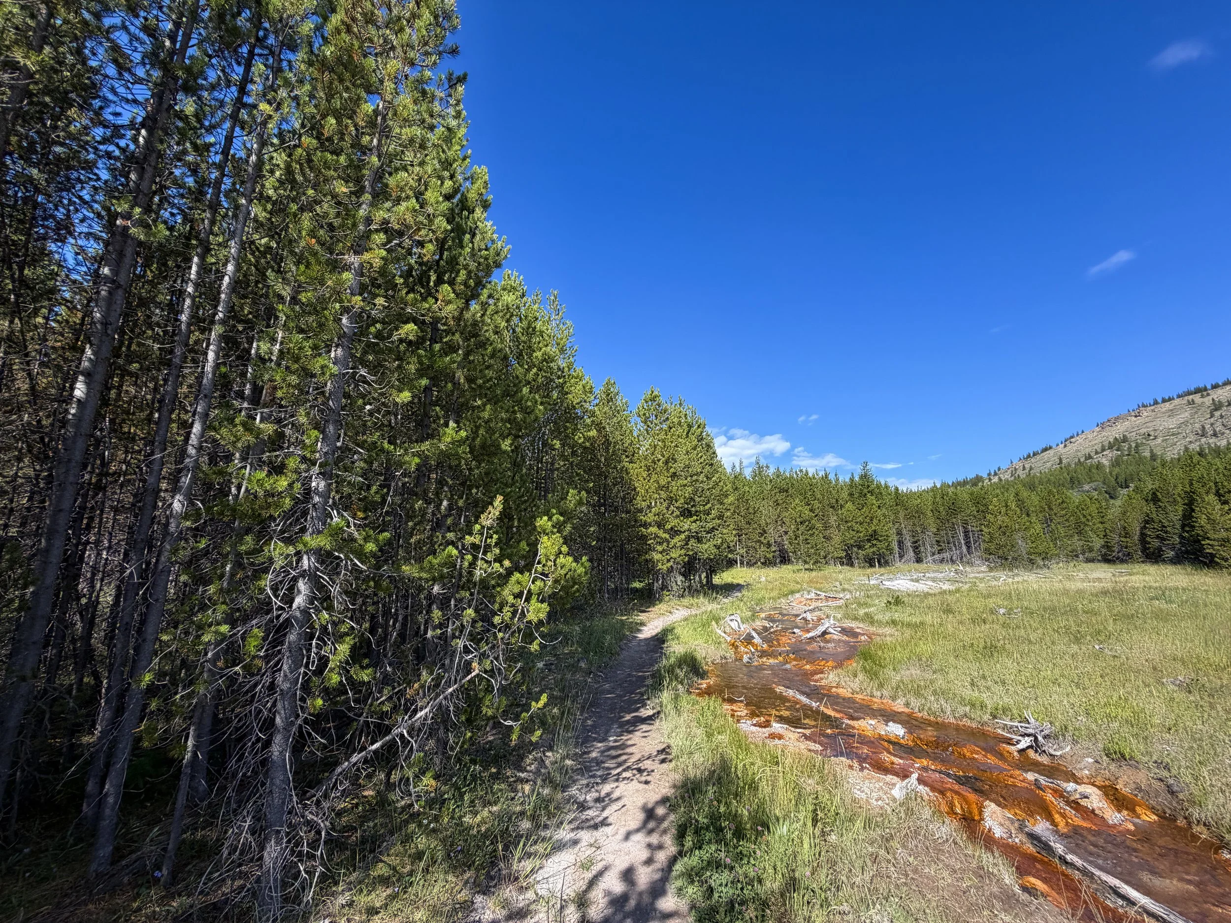 Imperial Geyser Trail Yellowstone National Park Wyoming