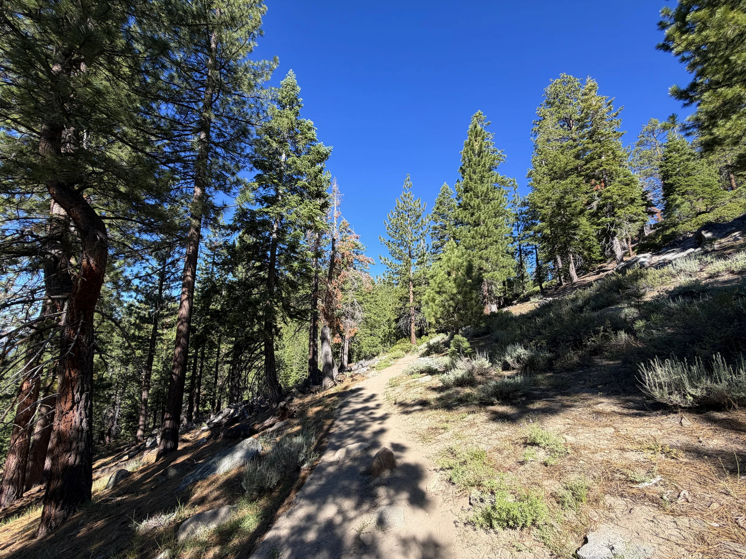 Castle Rock Trail Lake Tahoe Nevada