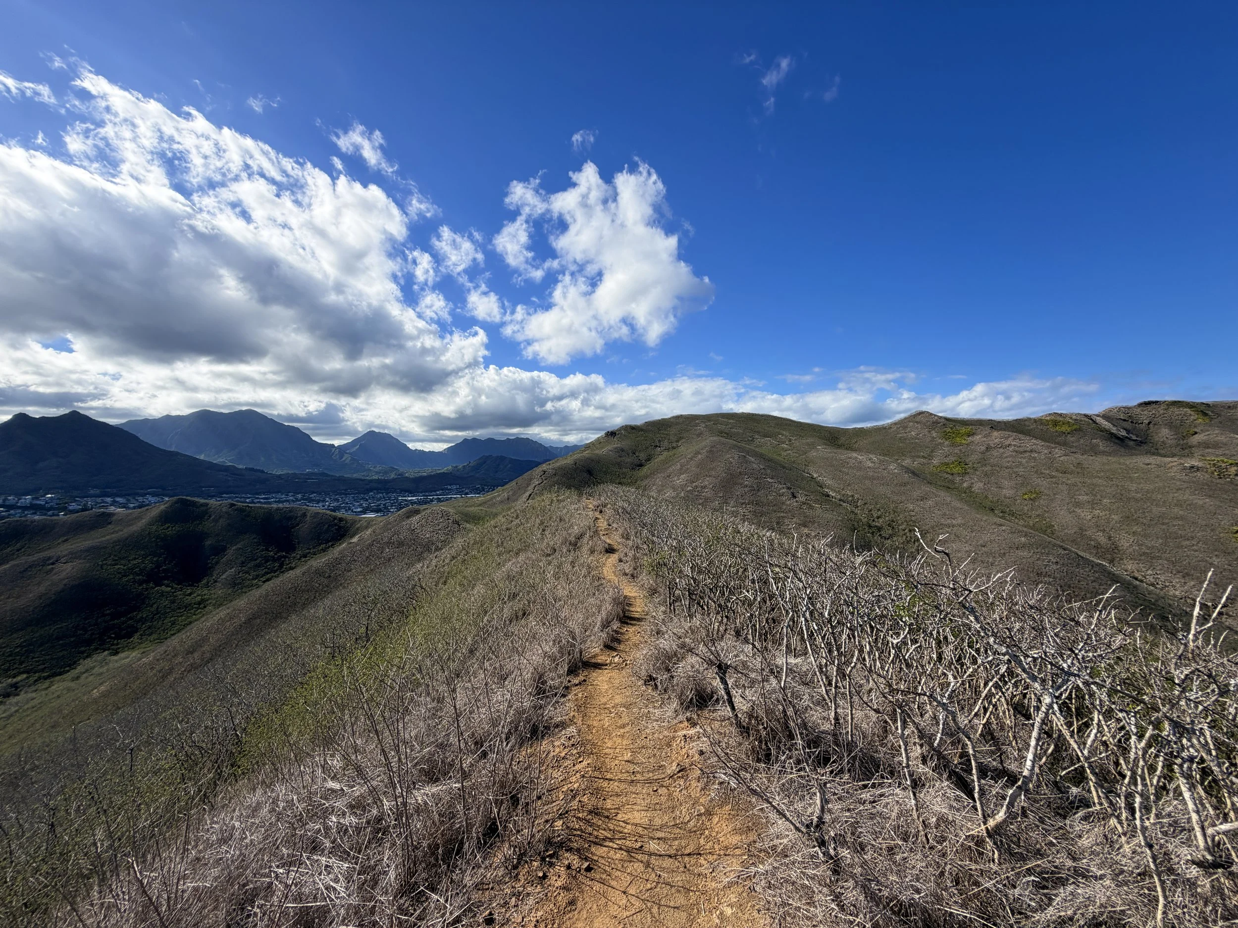 Back Way Kaiwa Ridge Hike Oahu Hawaii