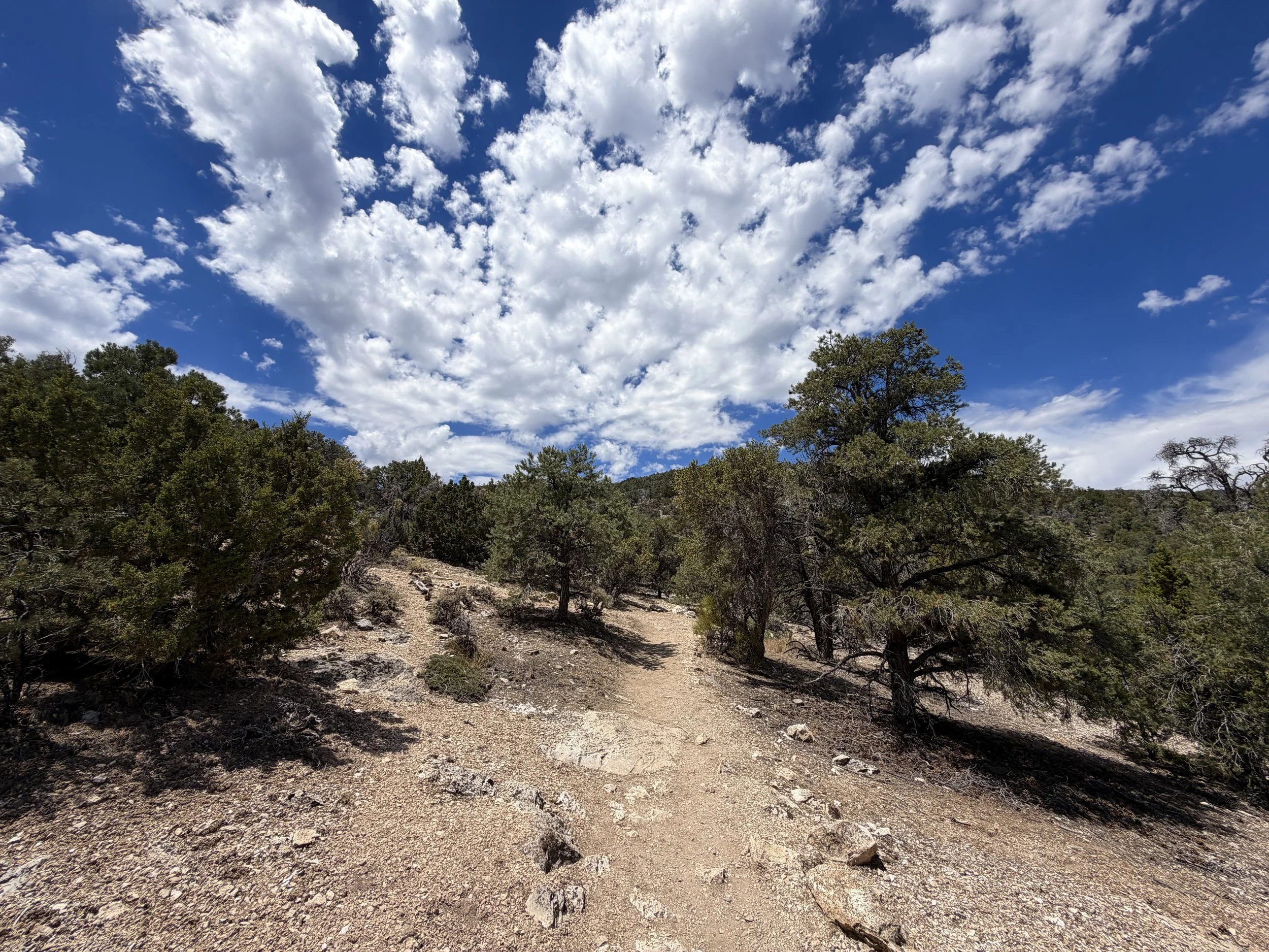 Mountain View Nature Trail Great Basin National Park Nevada