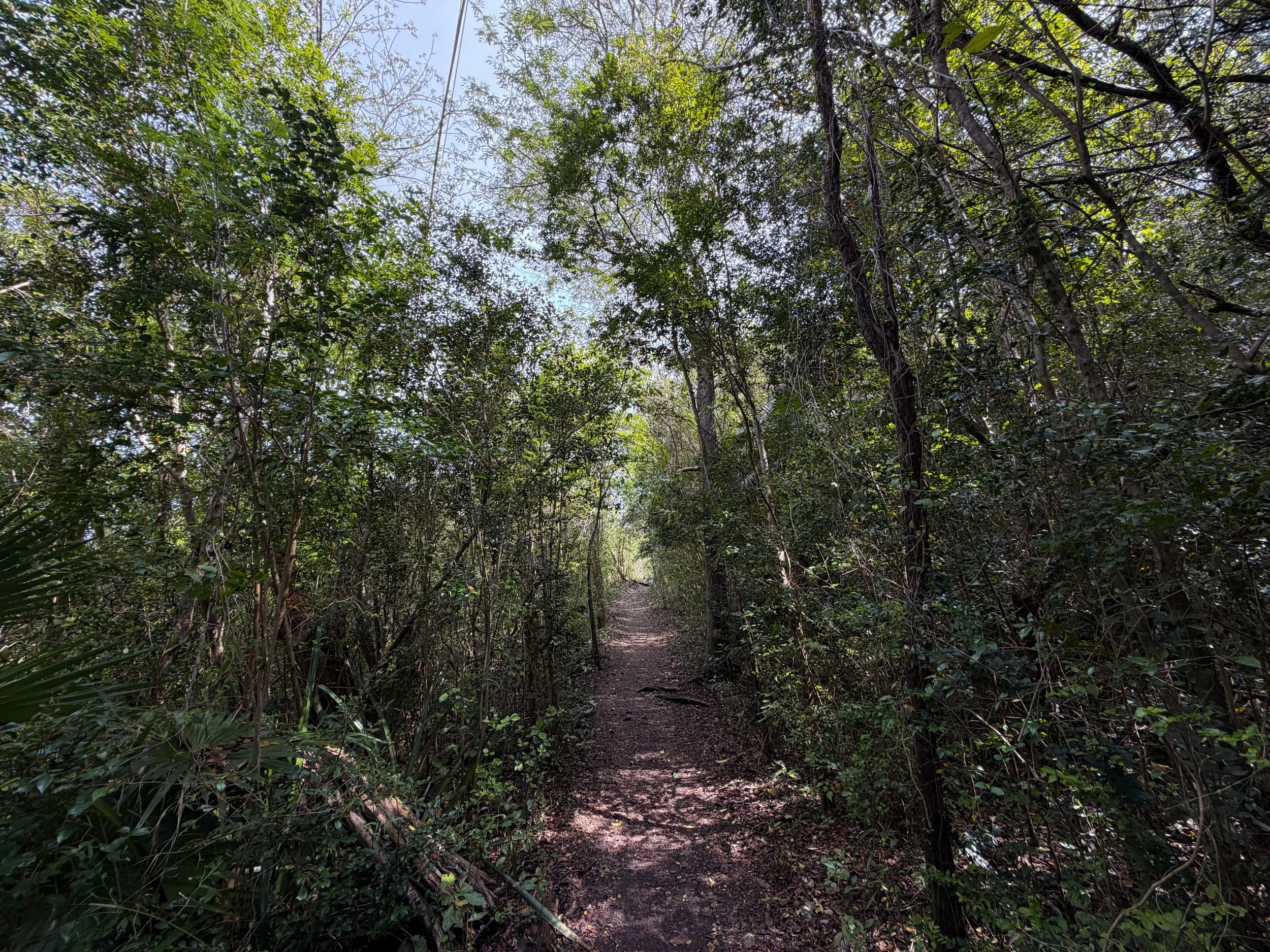 Lower Lind Point Trail Virgin Islands National Park