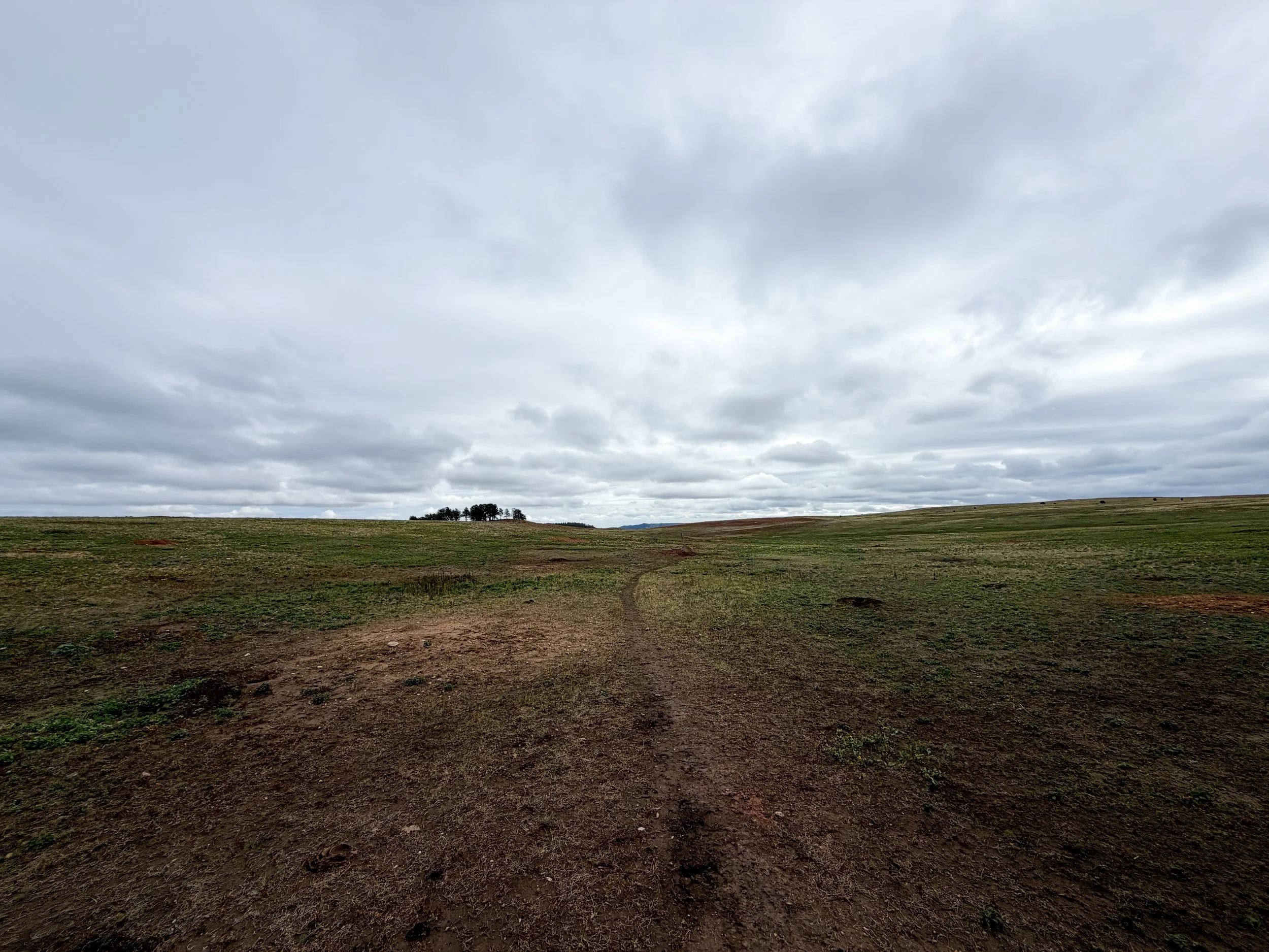 Highland Creek Trail Wind Cave National Park South Dakota