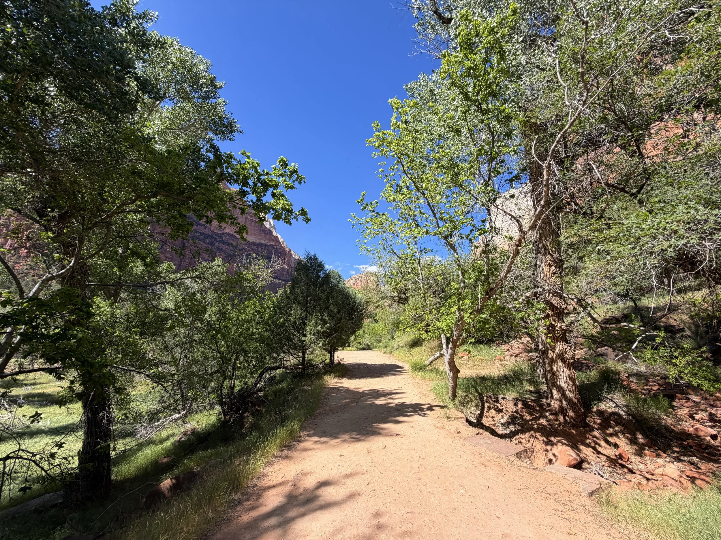 Grotto Trail Zion National Park Utah