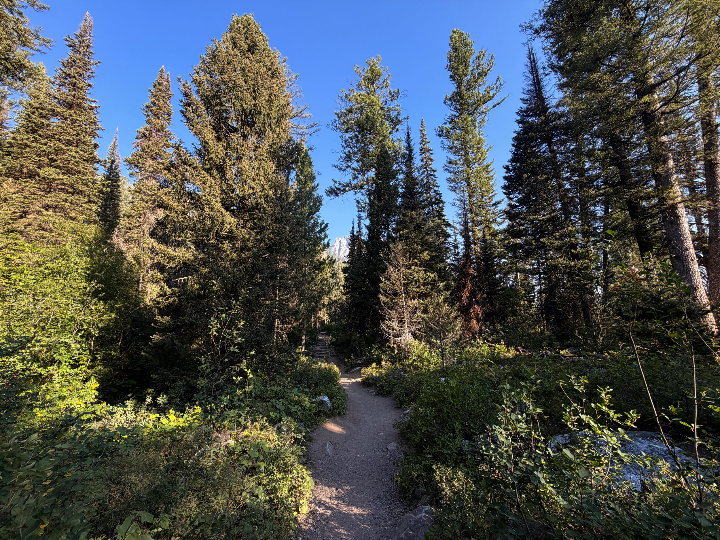 Hidden Falls via Jenny Lake Loop Trail Grand Teton National Park Wyoming