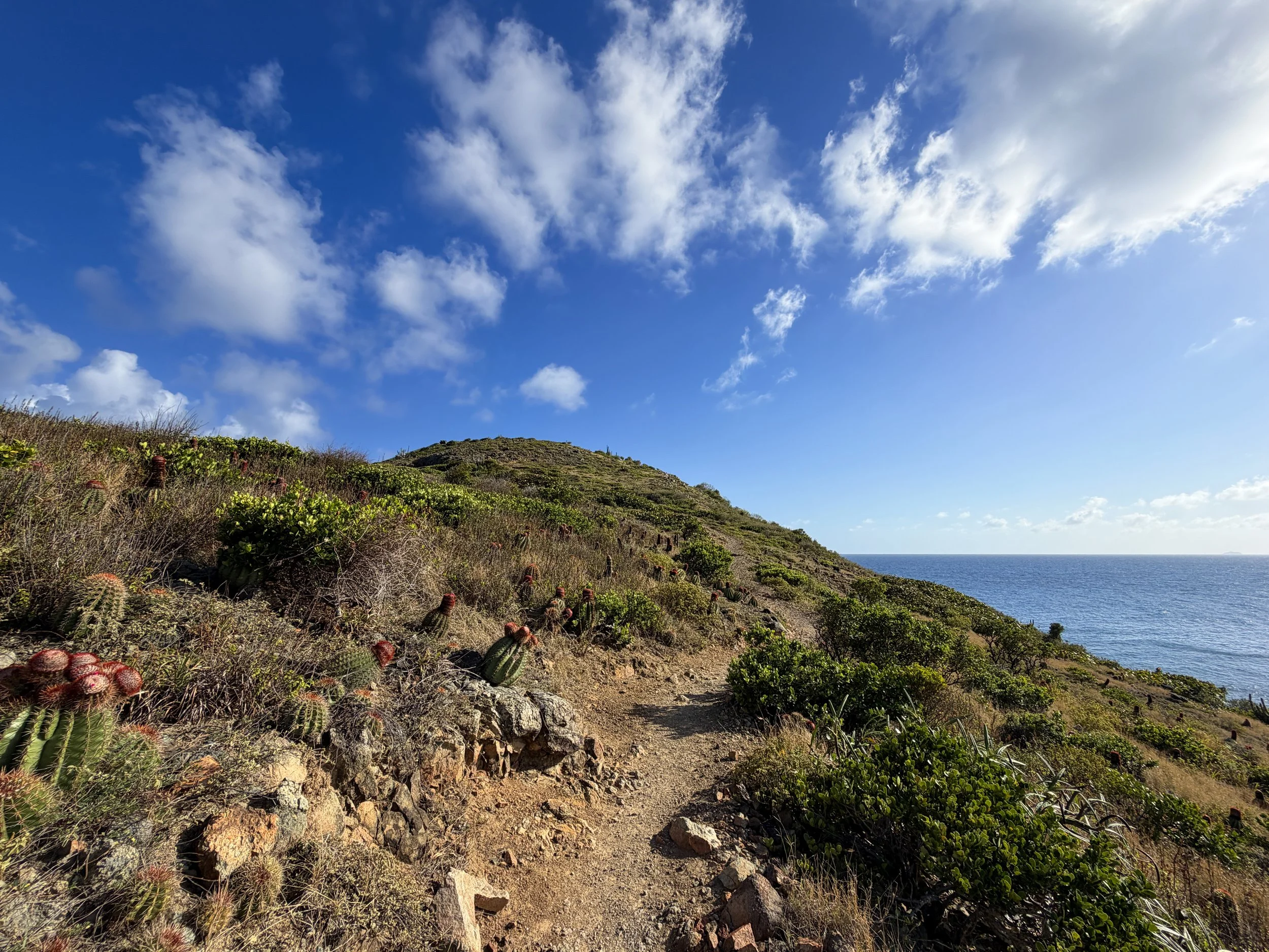 Ram Head Trail Virgin Islands National Park