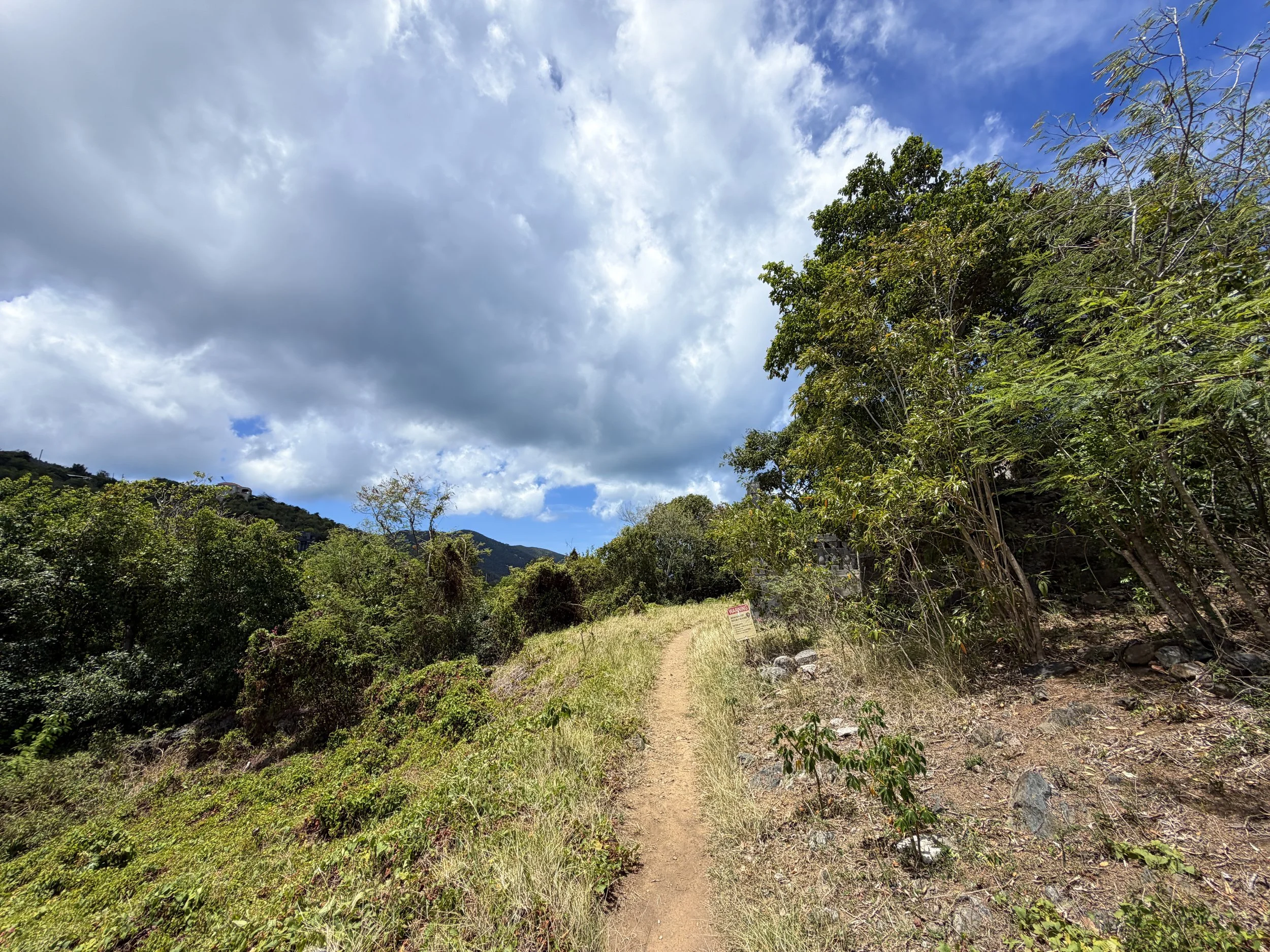 Francis Bay Trail Virgin Islands National Park