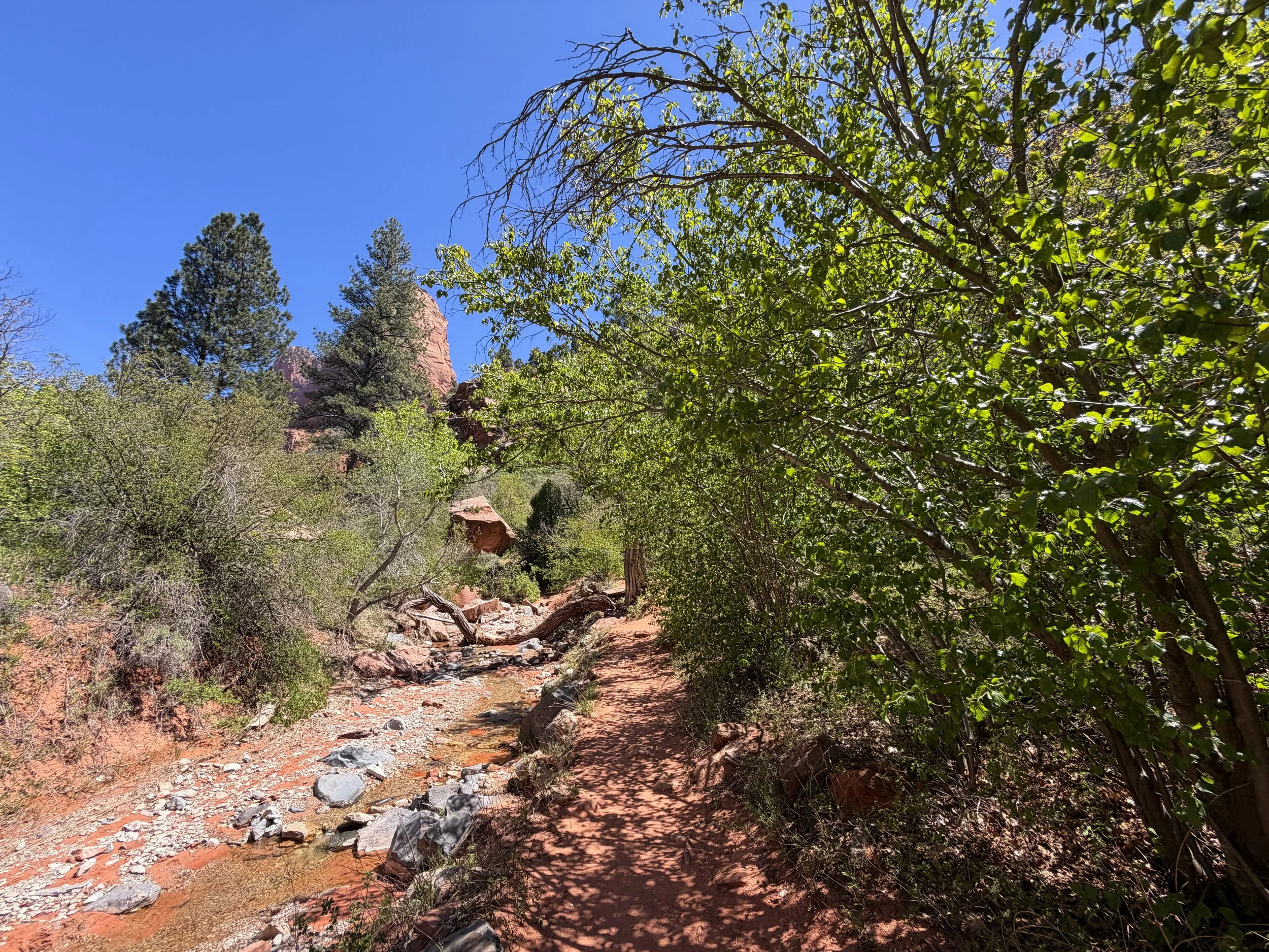 Middle Taylor Creek Trail Zion National Park Utah