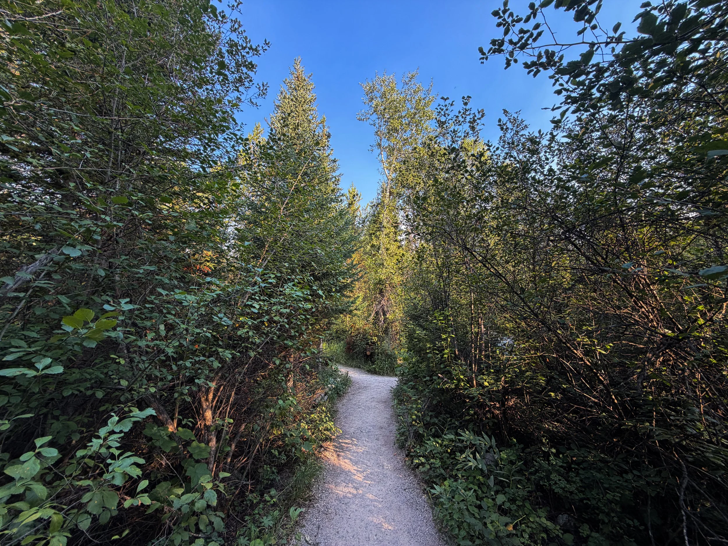 Boulder Ridge Trail Grand Teton National Park Wyoming