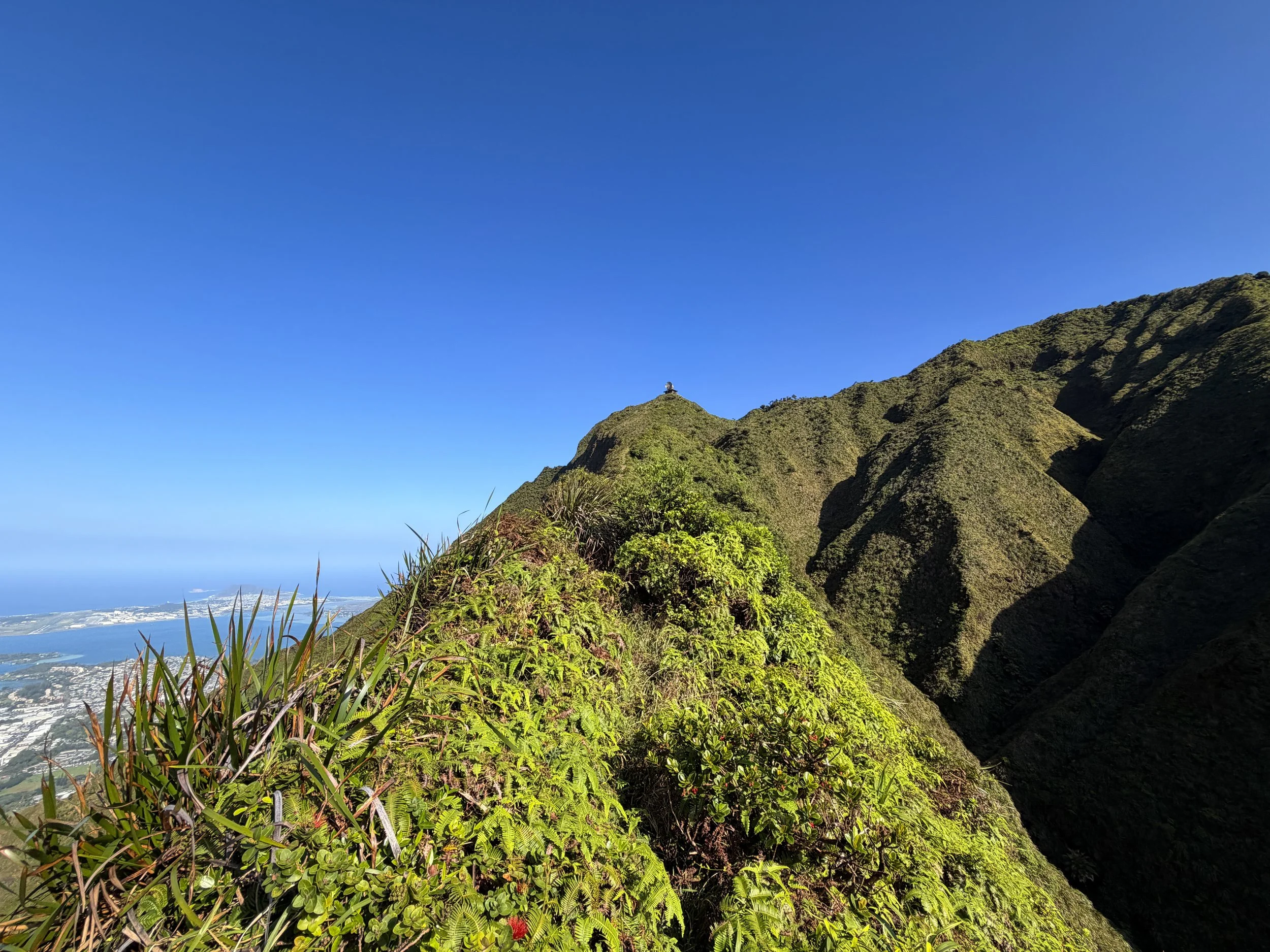 Moanalua Saddle to Stairway to Heaven Koolau Summit Trail Oahu Hawaii