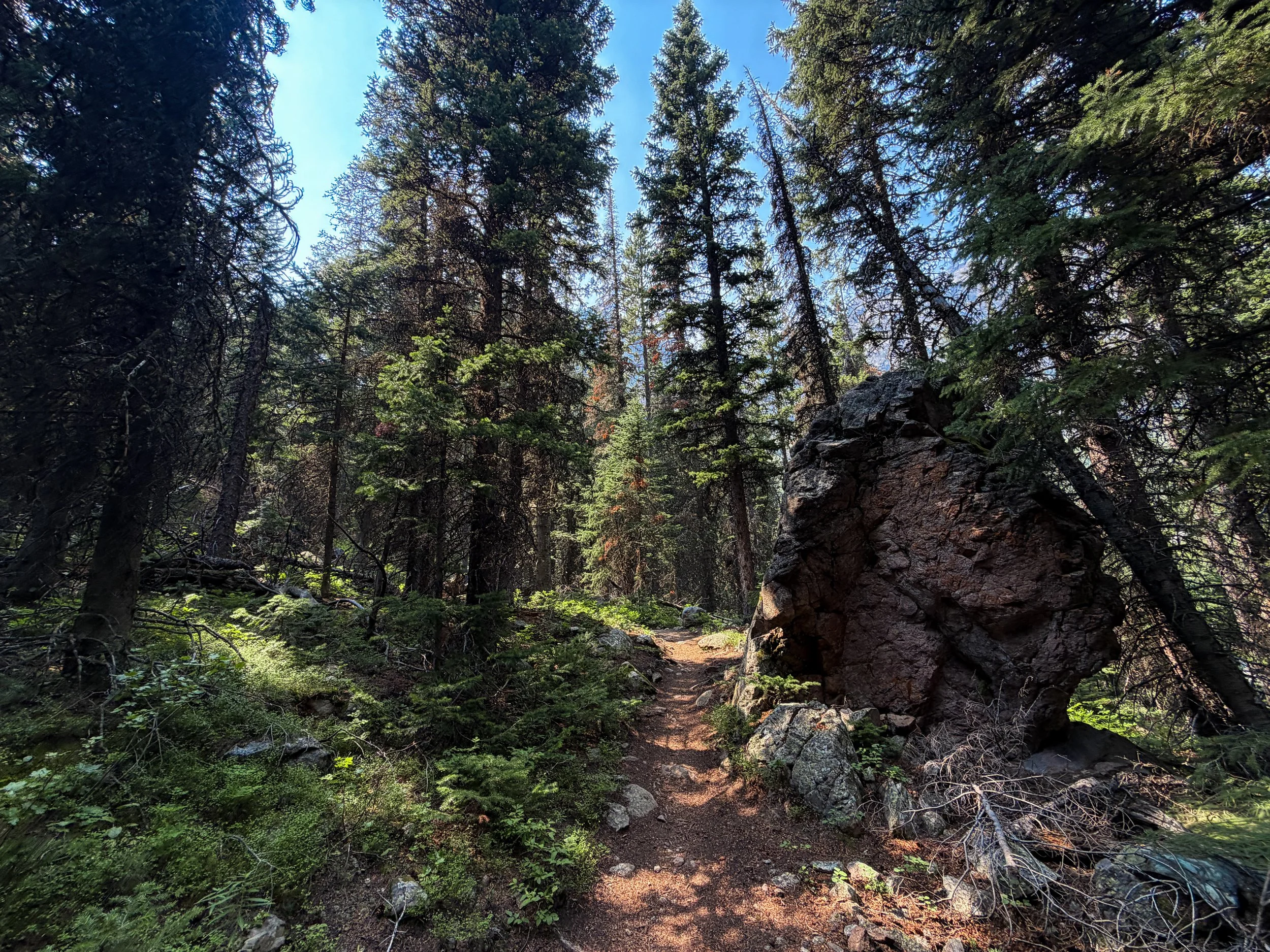 East Rosebud Trail The Beaten Path Beartooth Mountains Montana