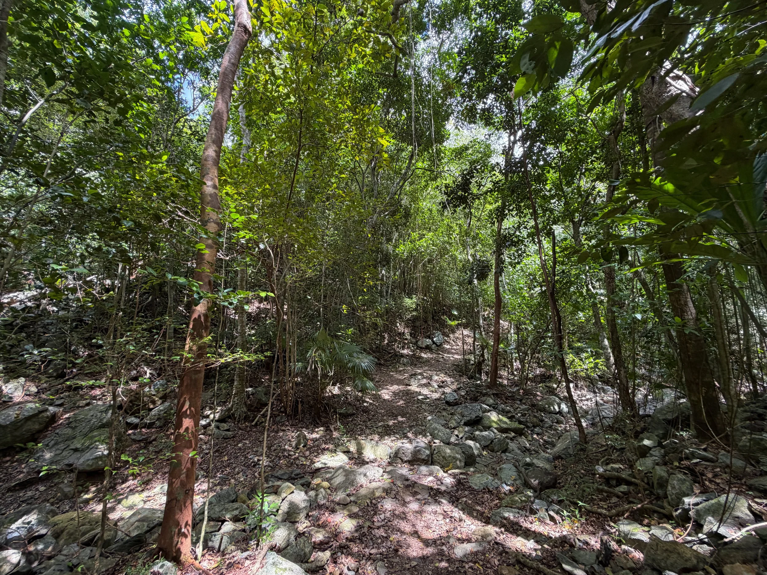 Reef Bay Trail Virgin Islands National Park