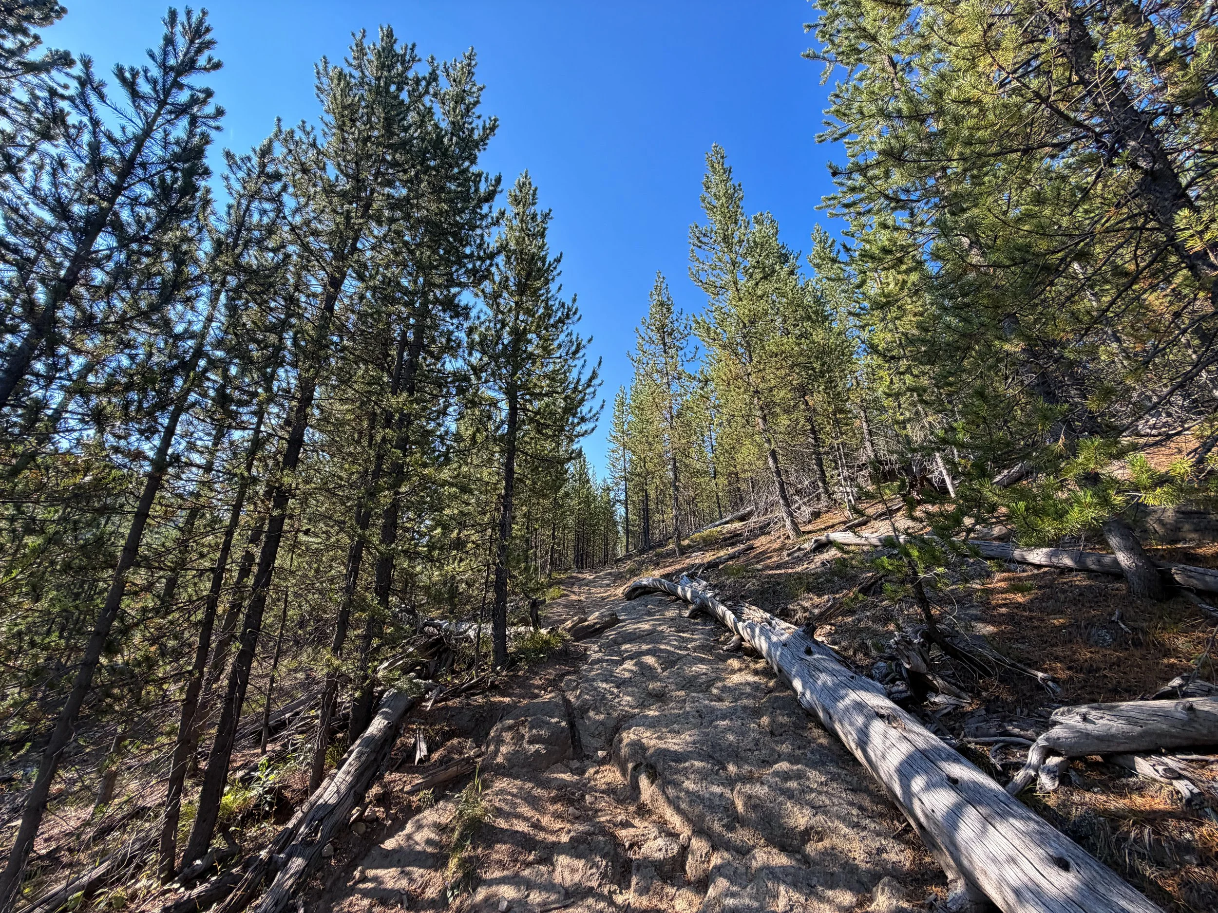 Monument Geyser Basin Hike Yellowstone National Park Wyoming