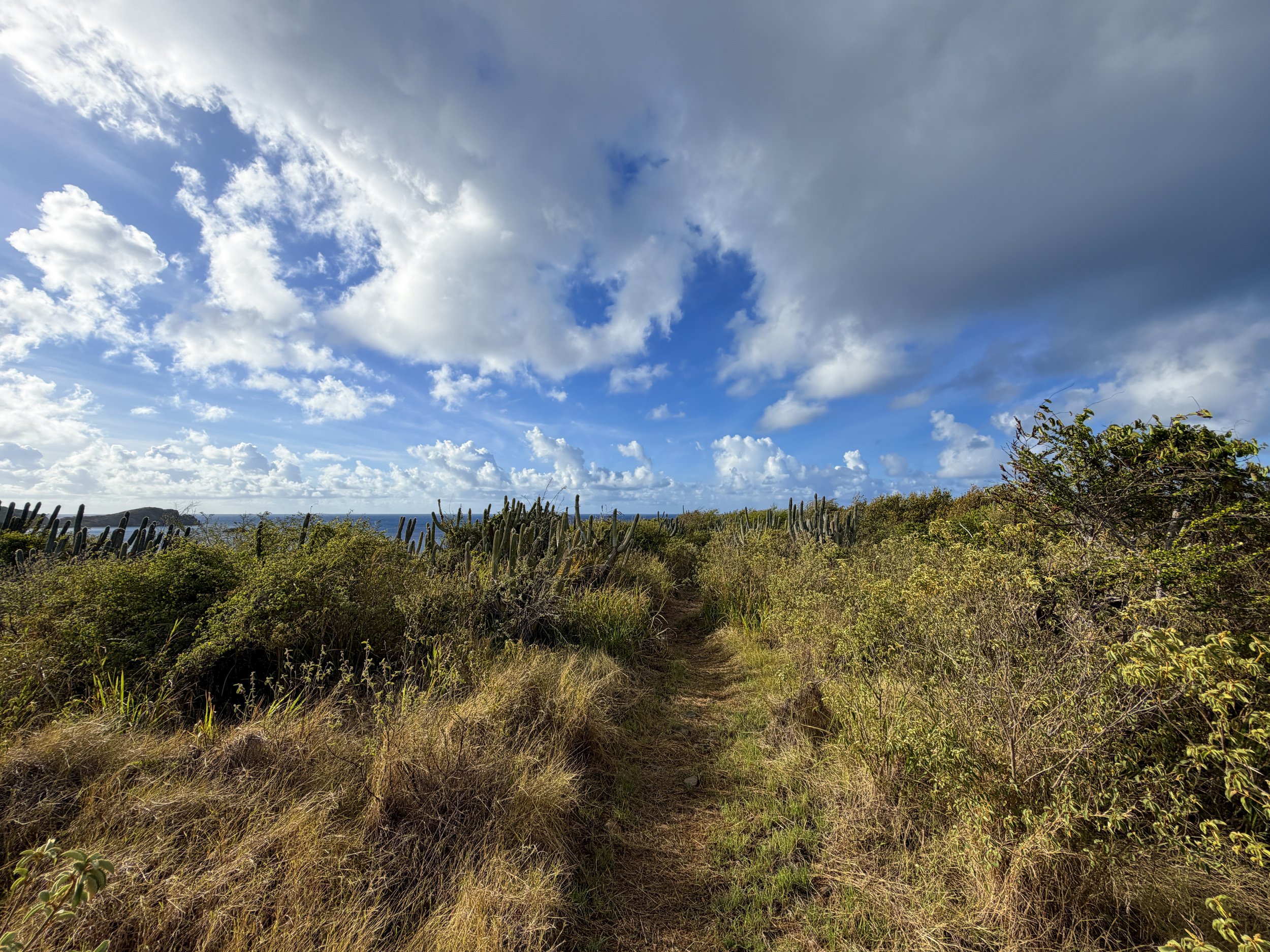 Cabritte Horn Hike Virgin Islands National Park