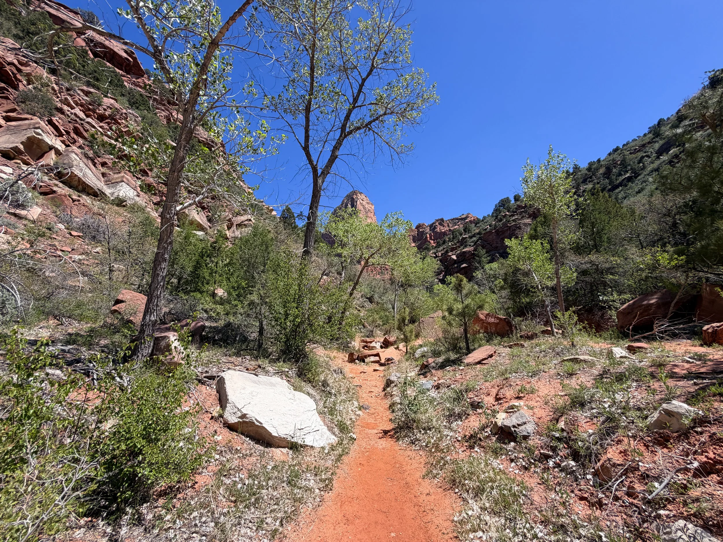 Middle Taylor Creek Hike Zion National Park Utah