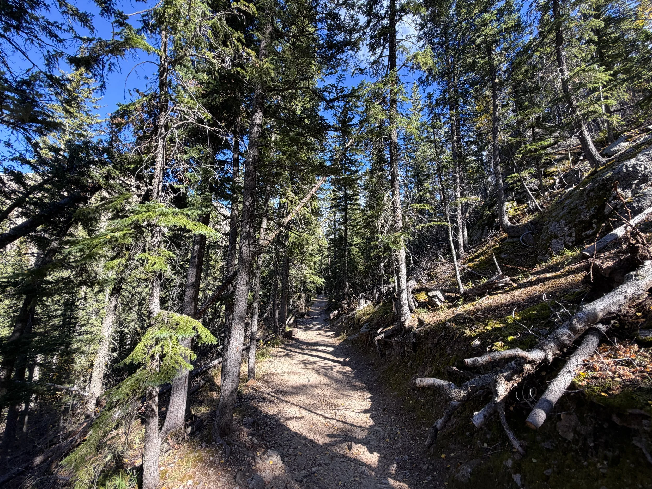 Black Elk Peak Trail Black Hills South Dakota