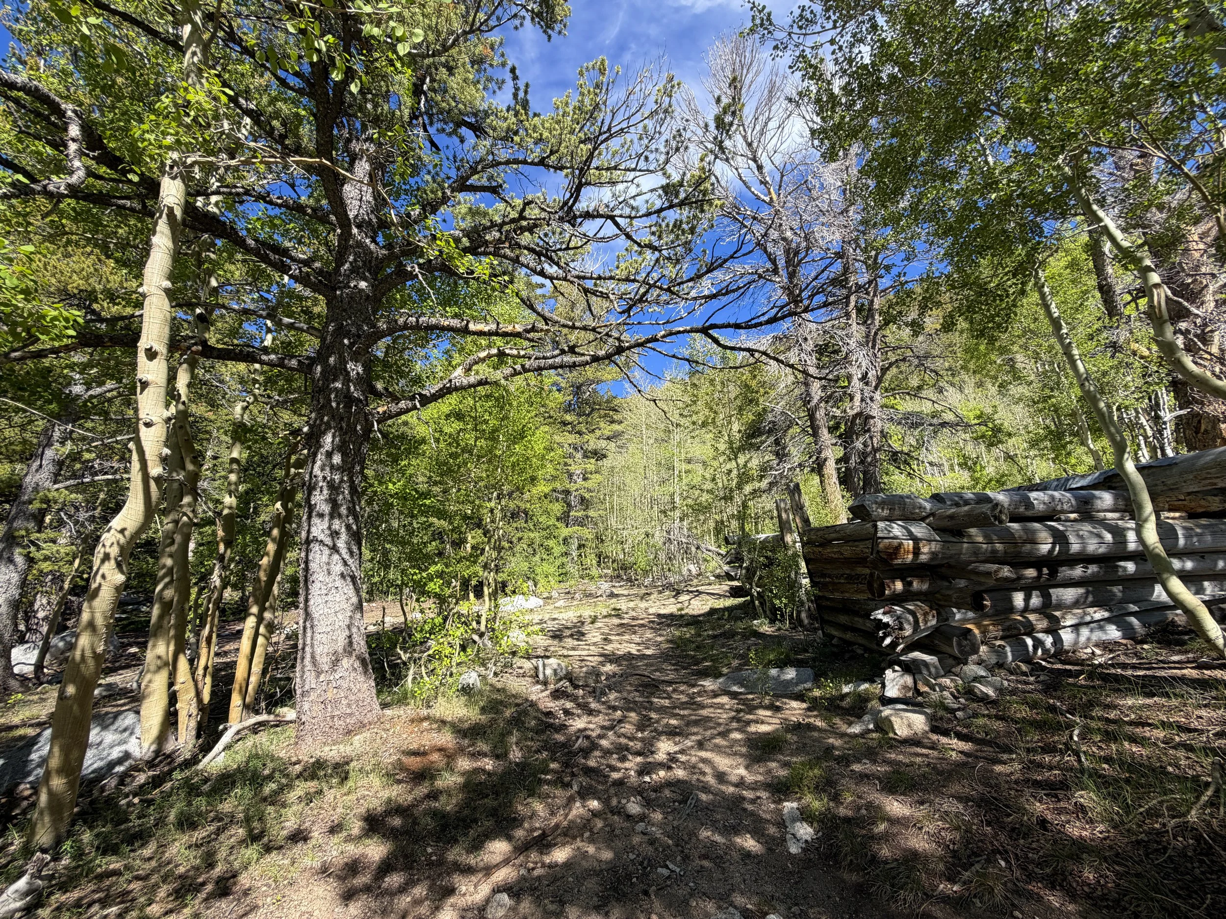 Johnson Mill Historic Site Johnson Lake Trail Great Basin National Park Nevada