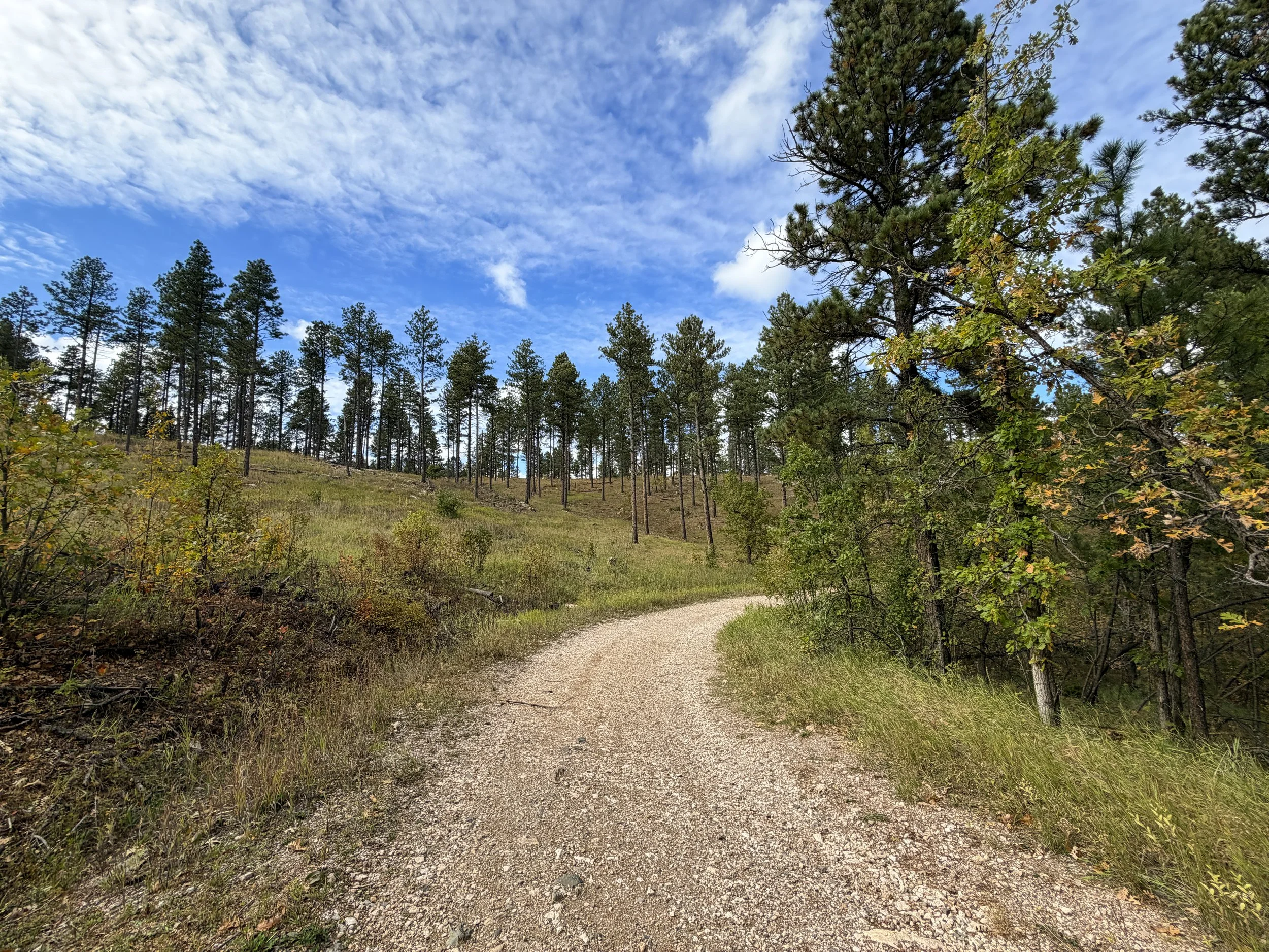 Stratobowl Rim Trail Black Hills South Dakota