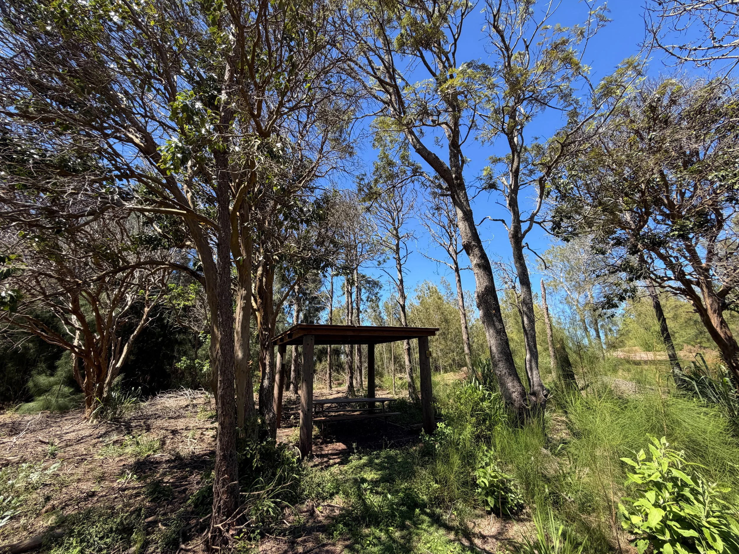 Kuaokala Trail Campsite Oahu Hawaii