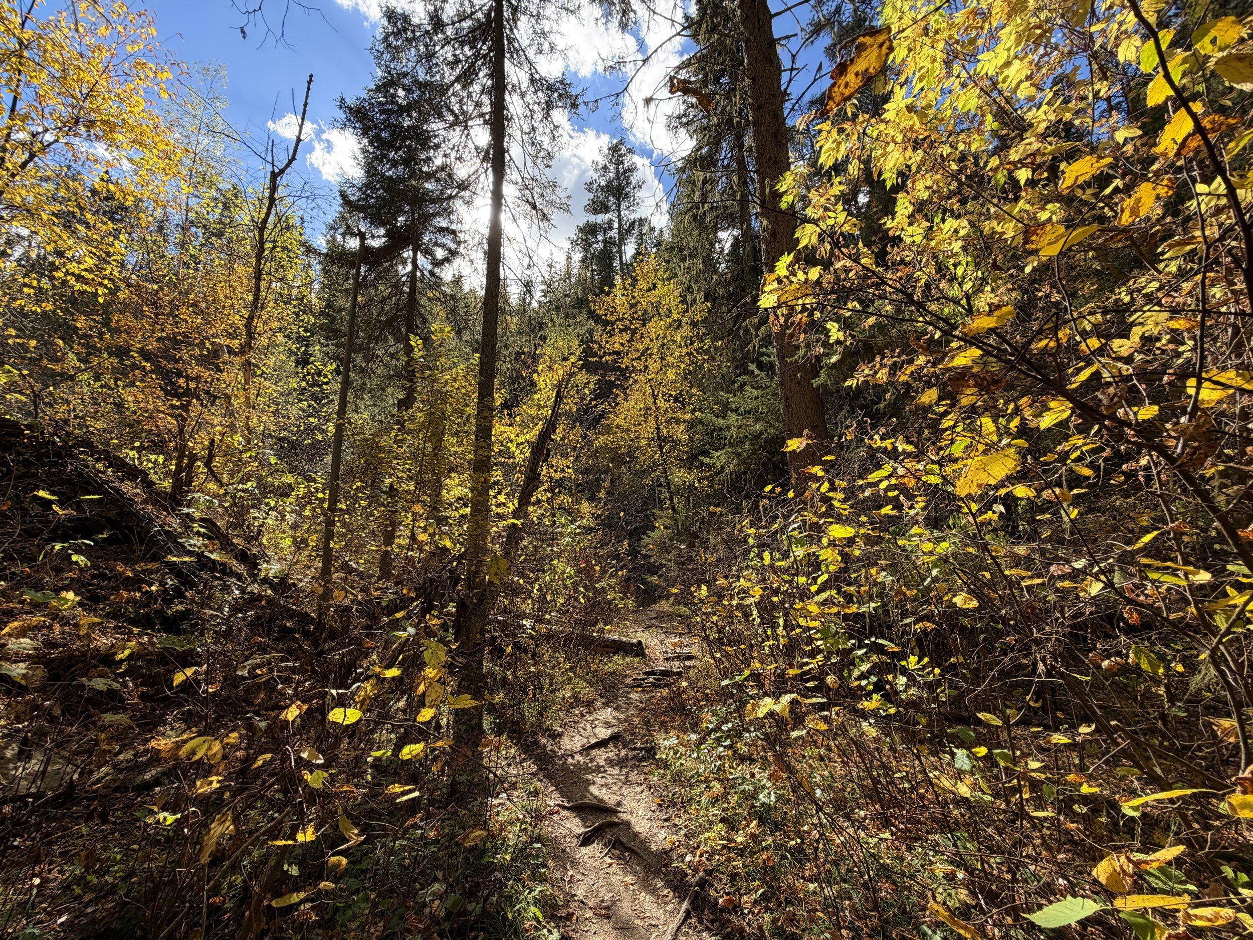 Devils Bathtub Trail Spearfish Canyon Black Hills South Dakota