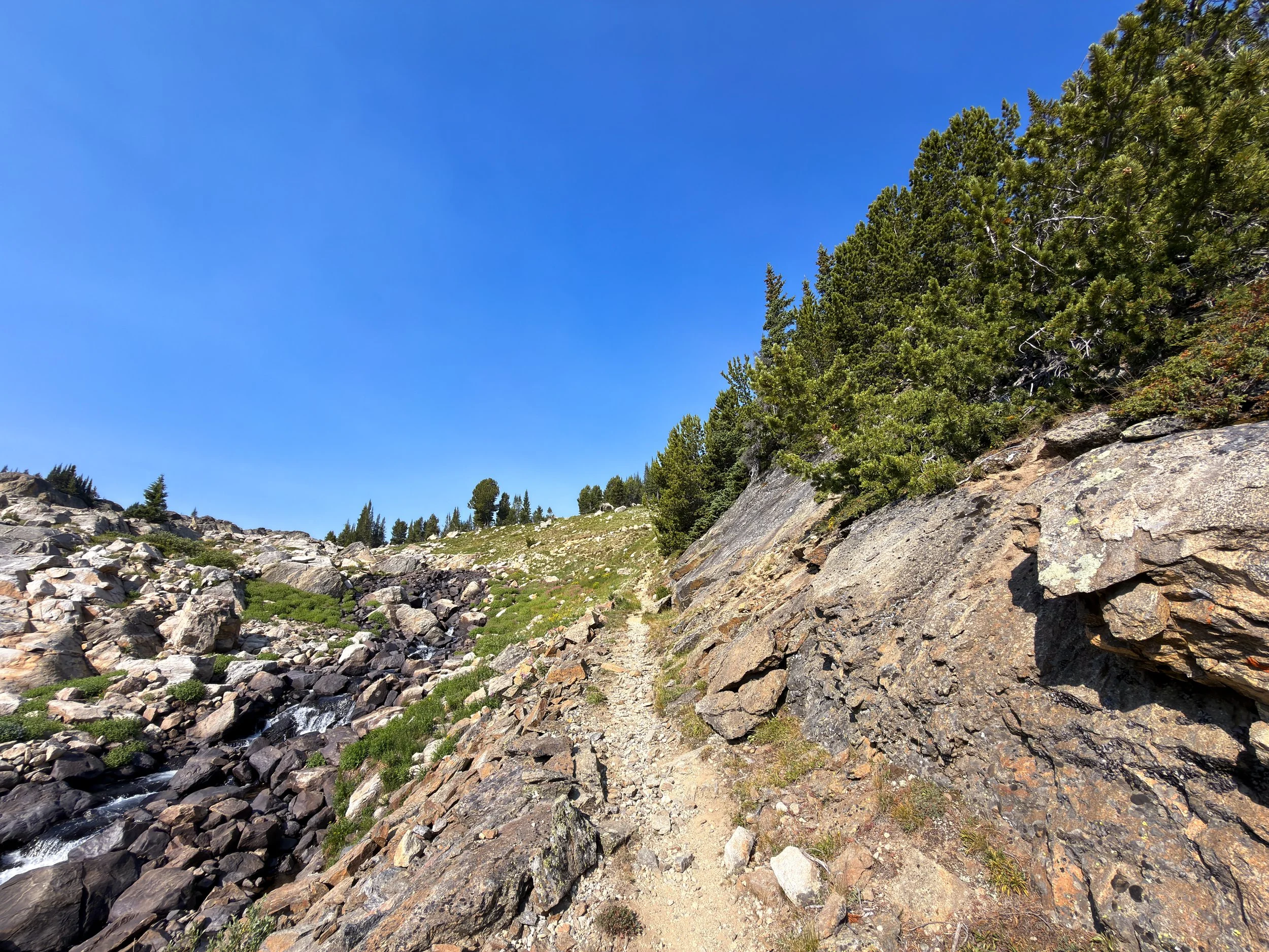 Beaten Path Hike Beartooth Mountains Montana
