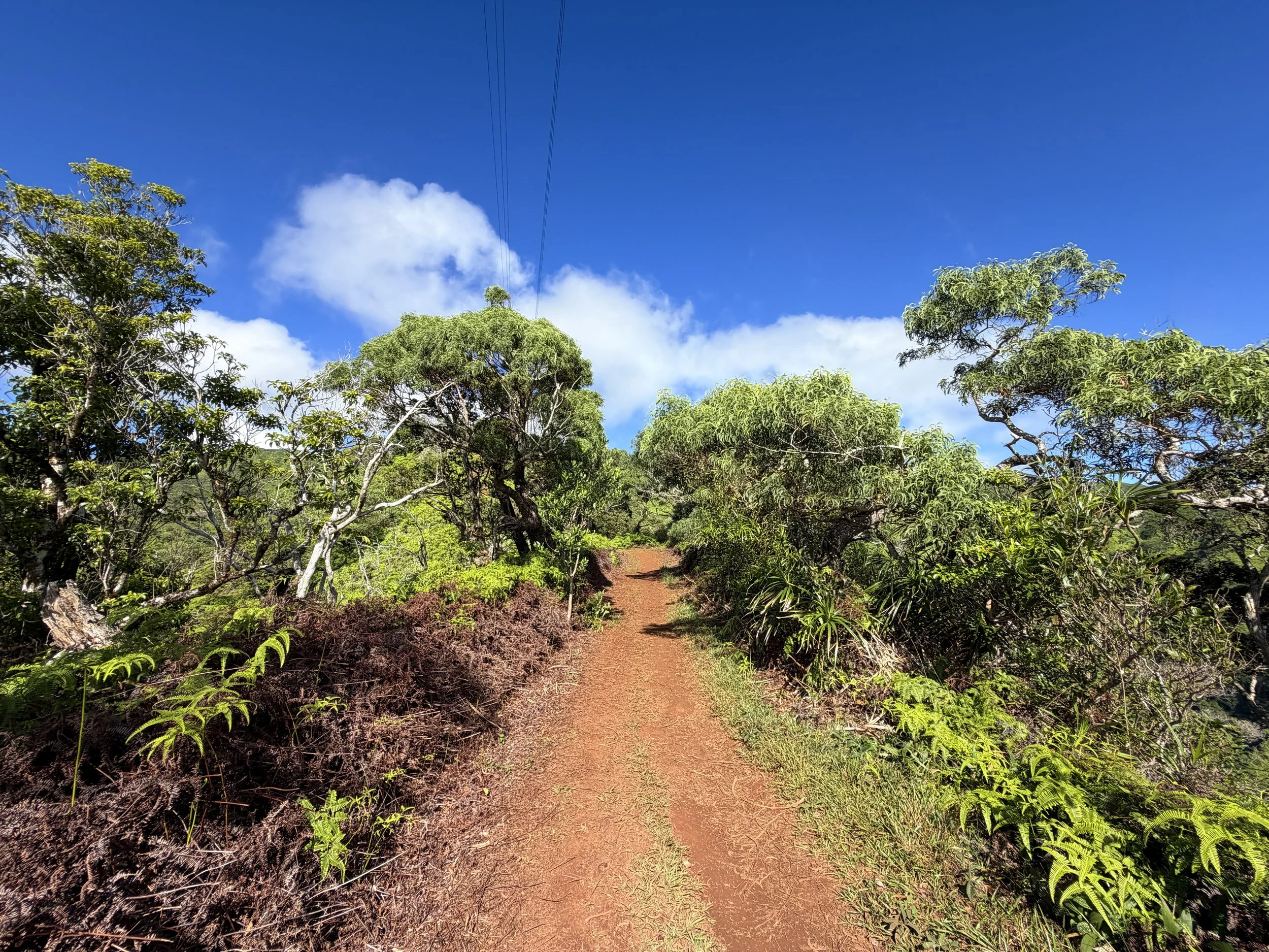 Wiliwilinui Ridge Trail Oahu Hawaii
