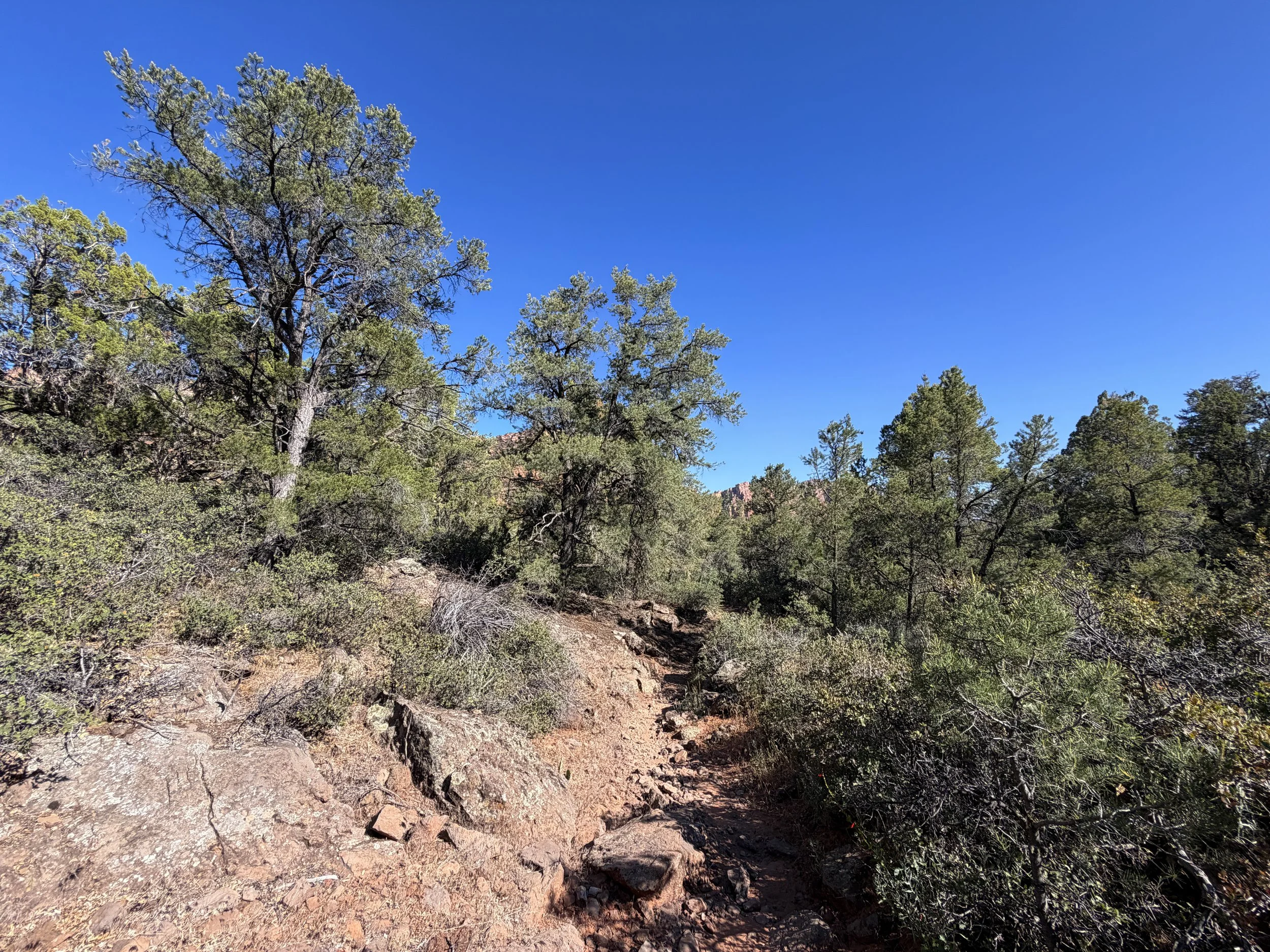 Subway Trail Zion National Park Utah