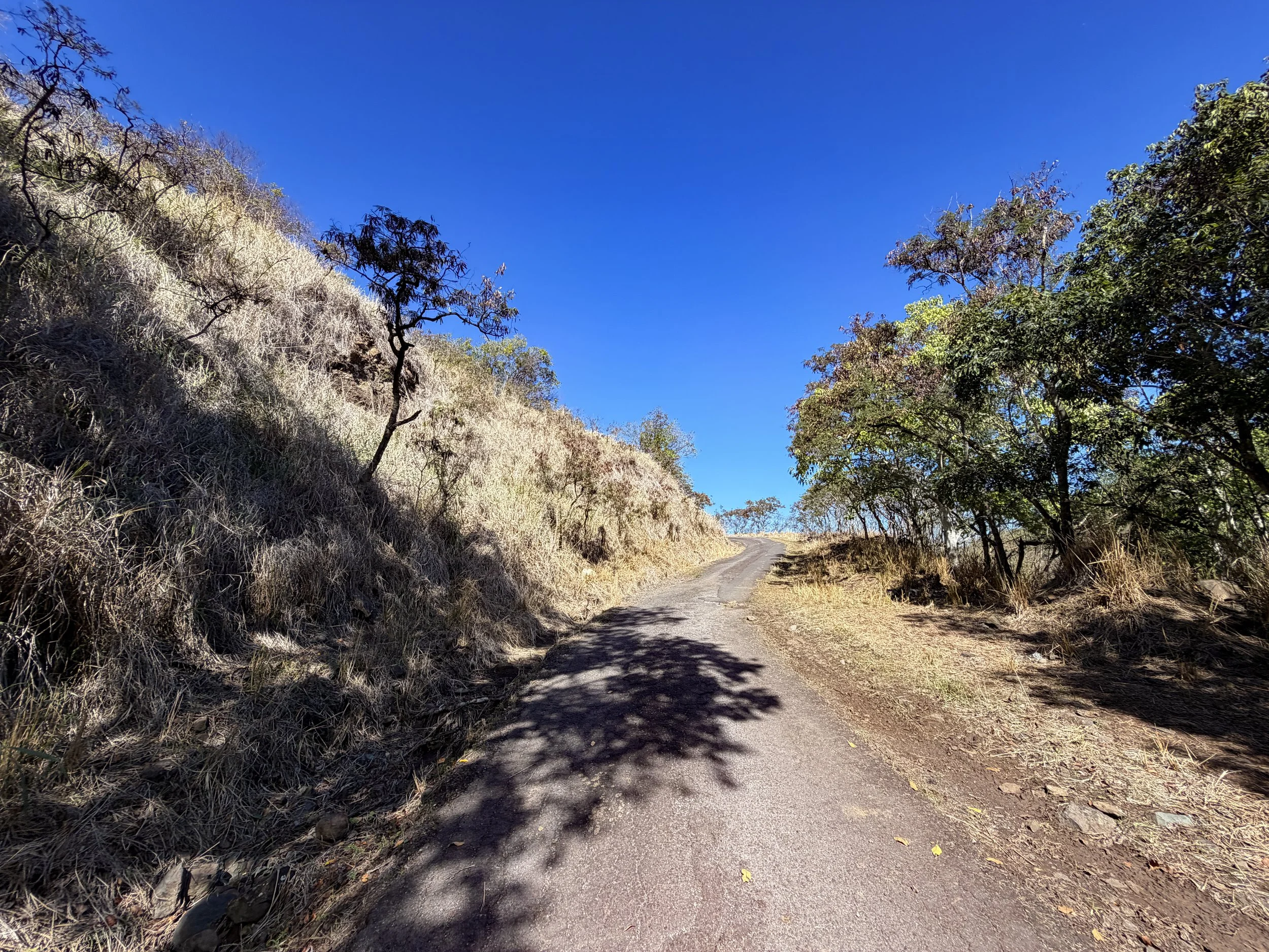 Mokuleia Forest Reserve Access Road Oahu Hawaii