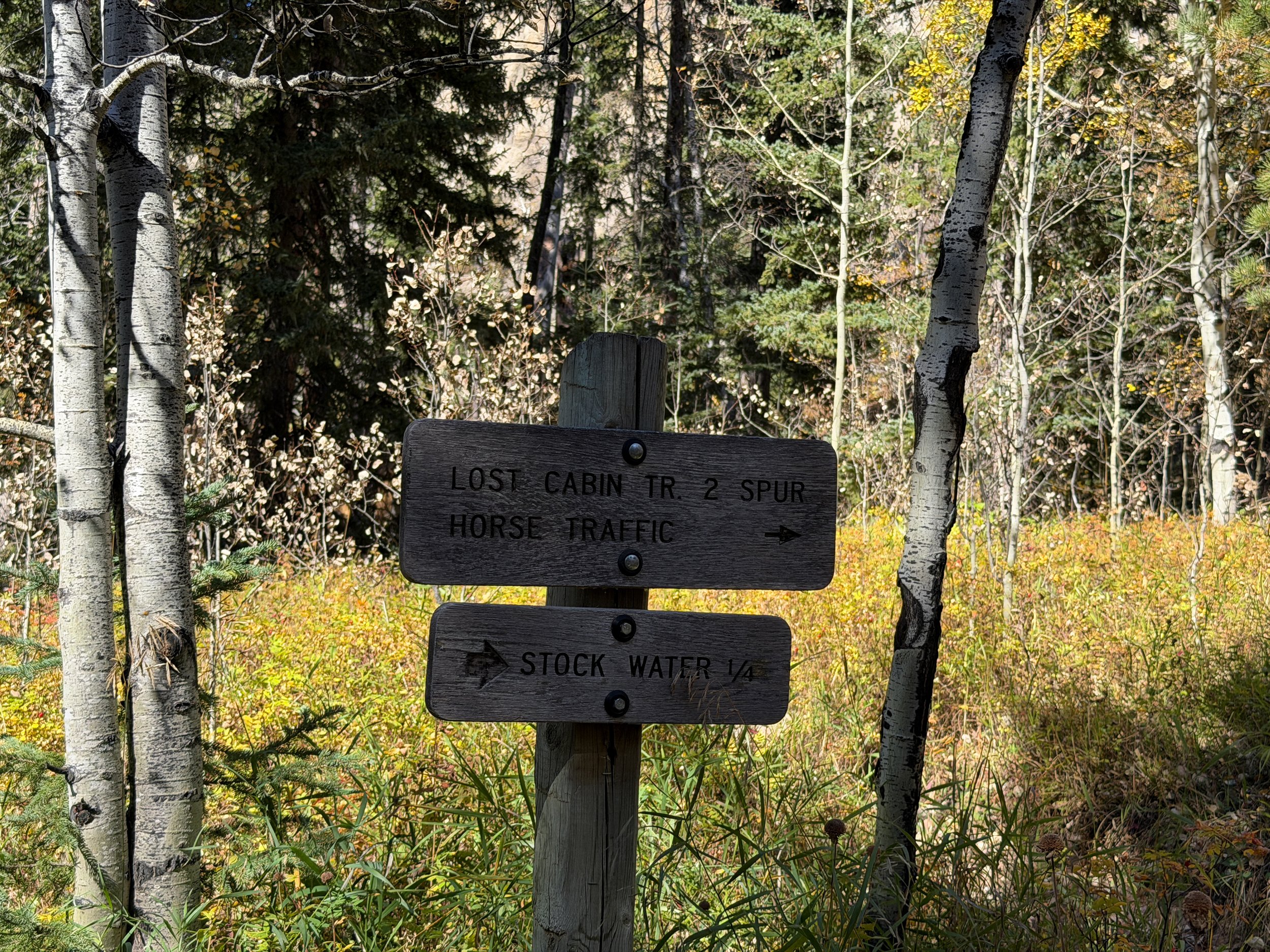 Black Elk Peak Trail Black Hills South Dakota