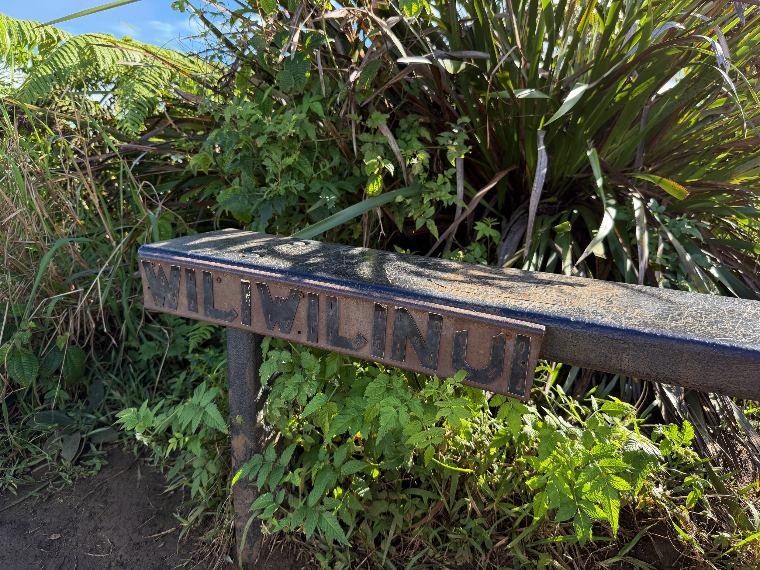 Wiliwilinui Ridge Trail Summit Oahu Hawaii