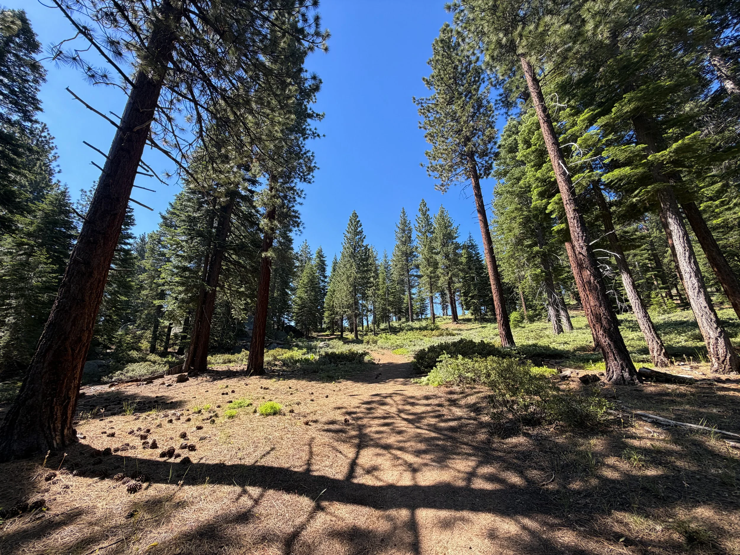 Captain Pomin Trail Lake Tahoe Nevada