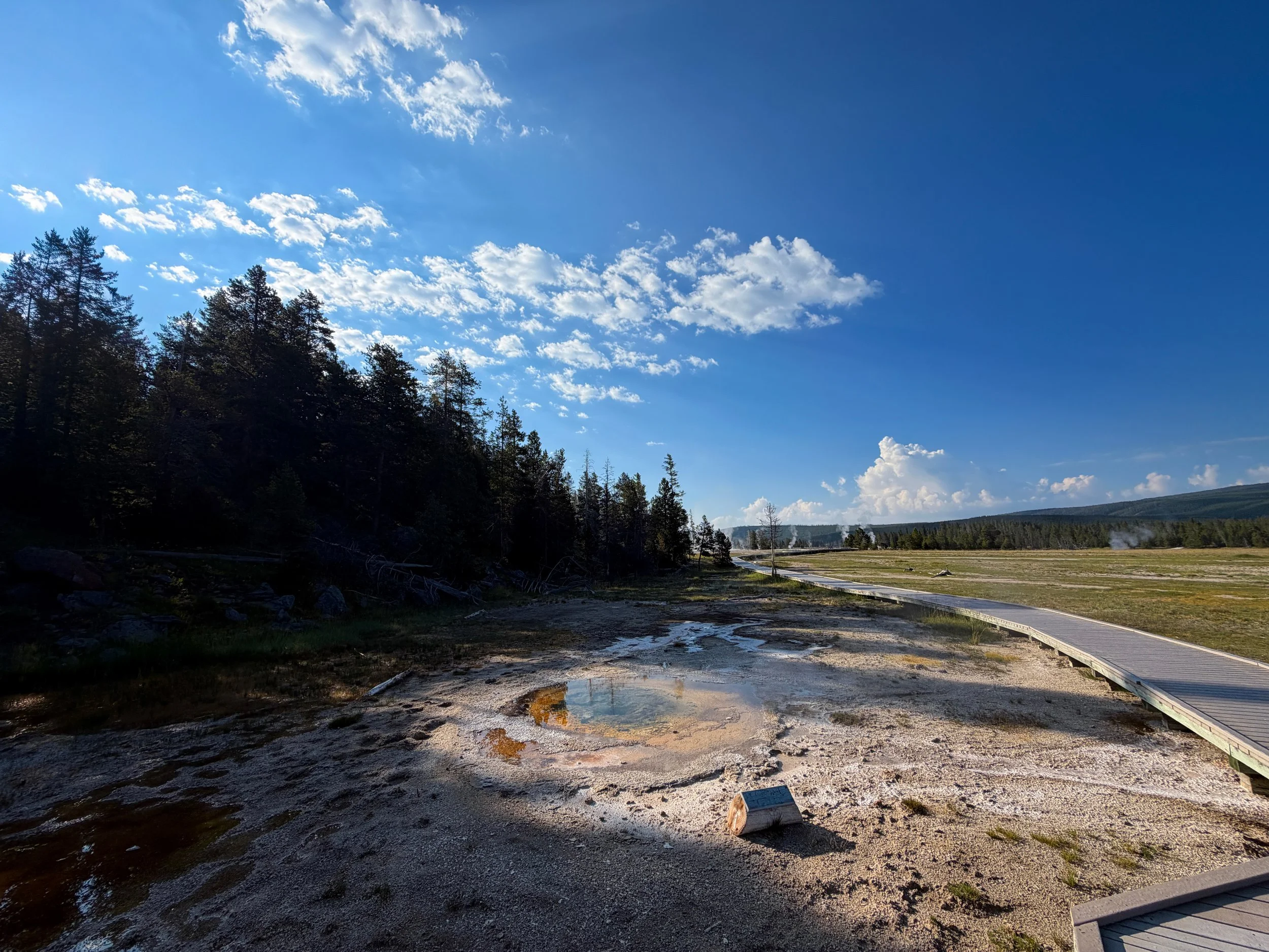 Economic Geyser Yellowstone National Park Wyoming