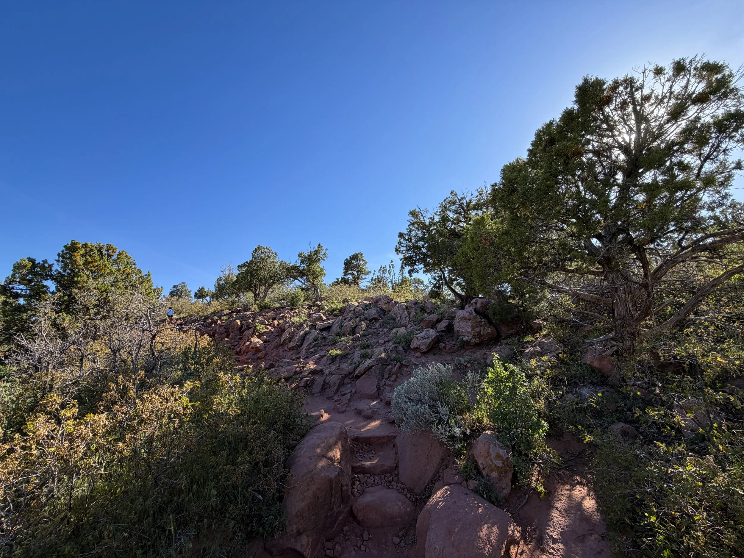 Timber Creek Overlook Trail Zion National Park Utah