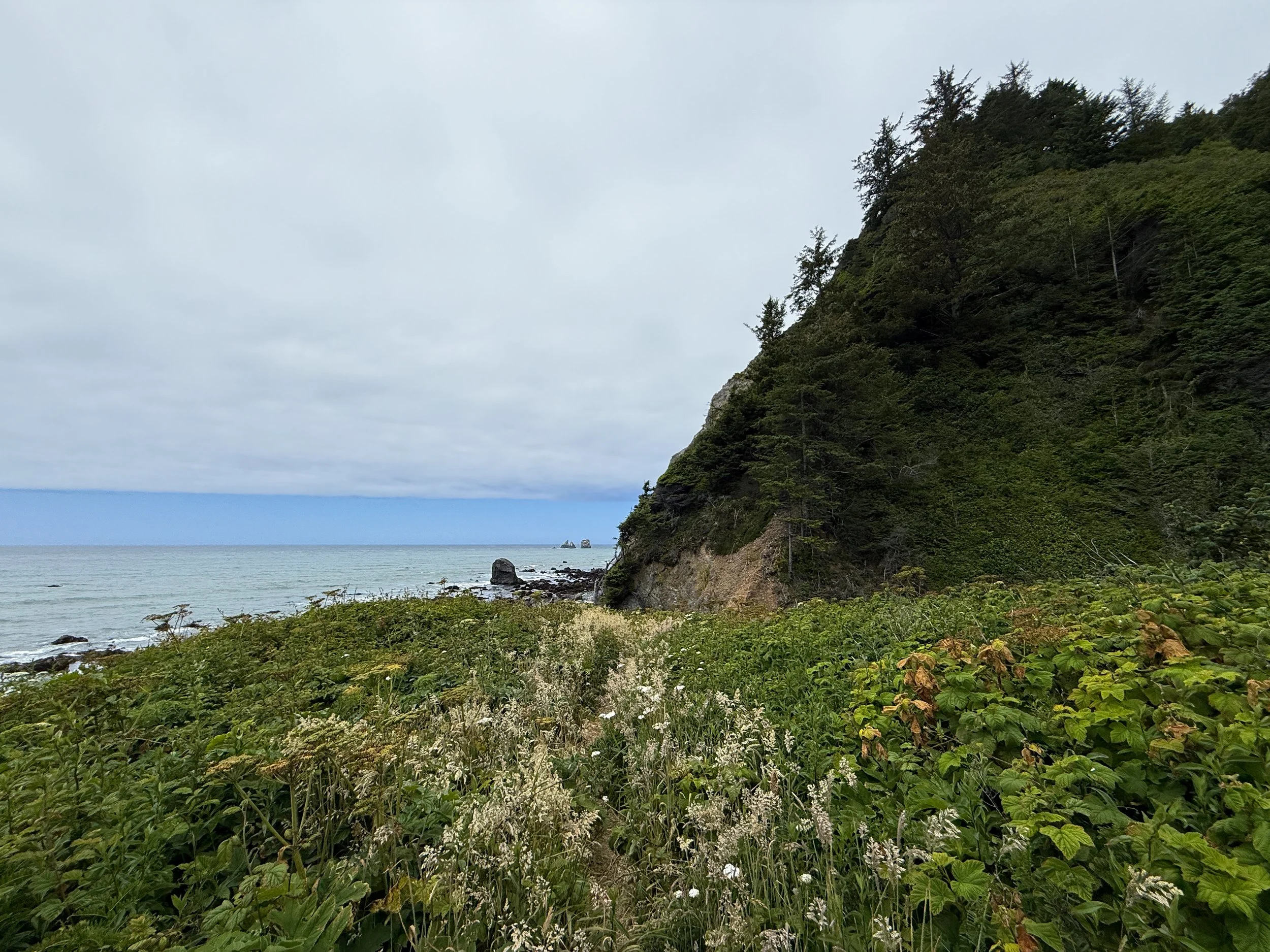 End of Damnation Creek Trail Del Norte Coast Redwoods State Park California