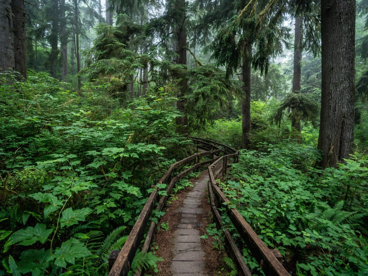 Hiking the Cathedral Tree Trail to the Astoria Column on the Oregon ...
