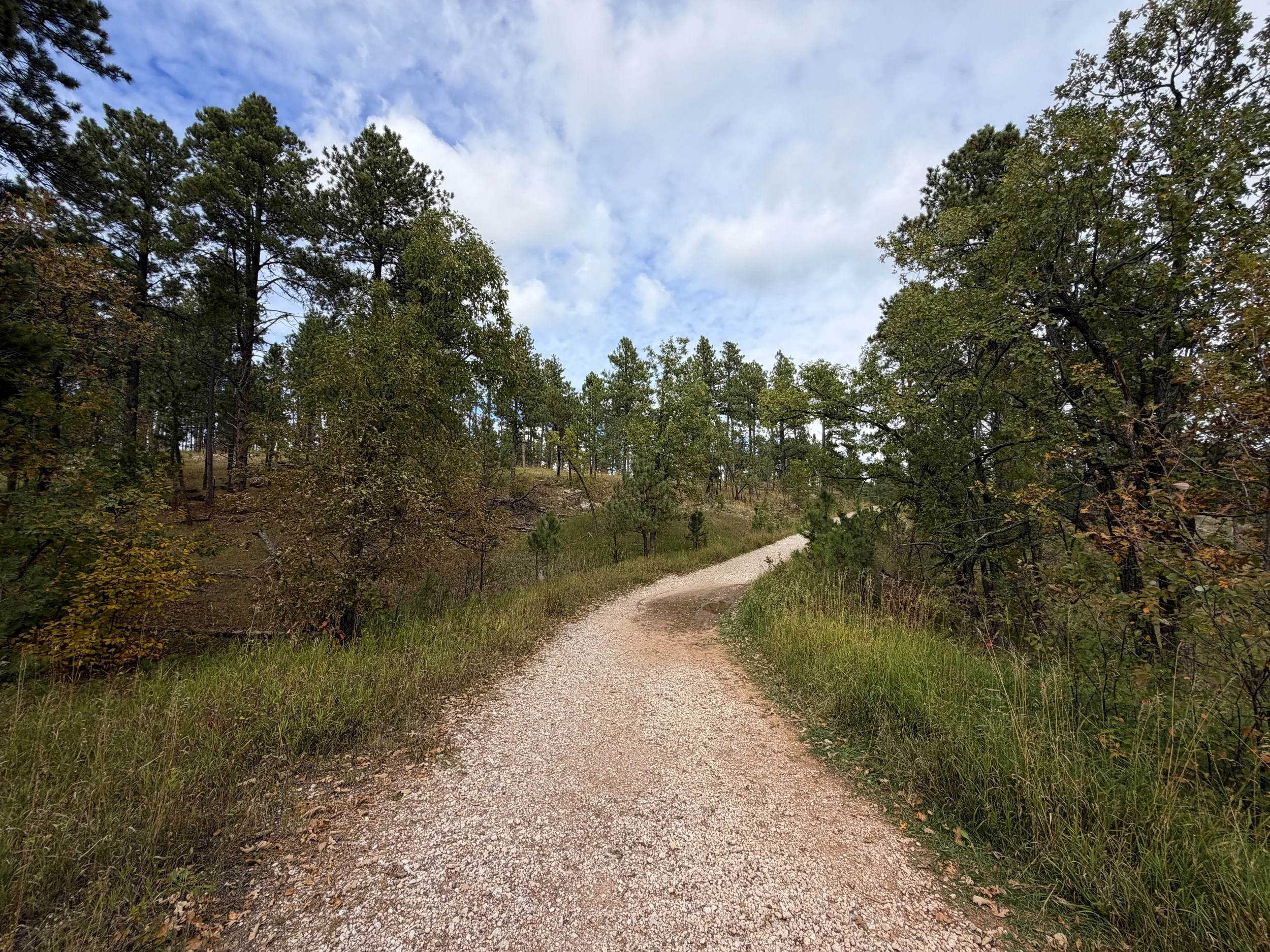 Stratobowl Rim Trail Black Hills South Dakota