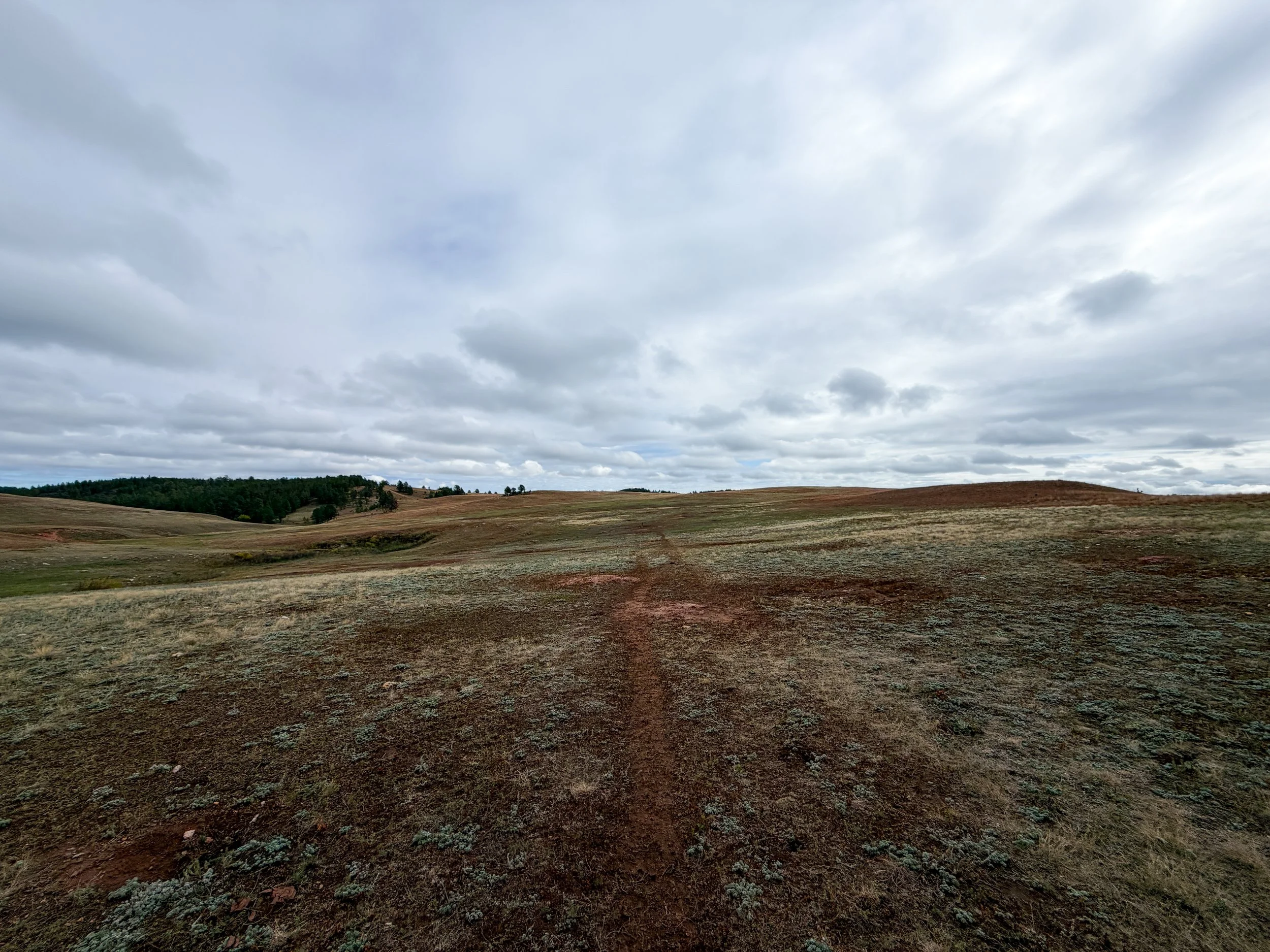 Highland Creek Trail Wind Cave National Park South Dakota