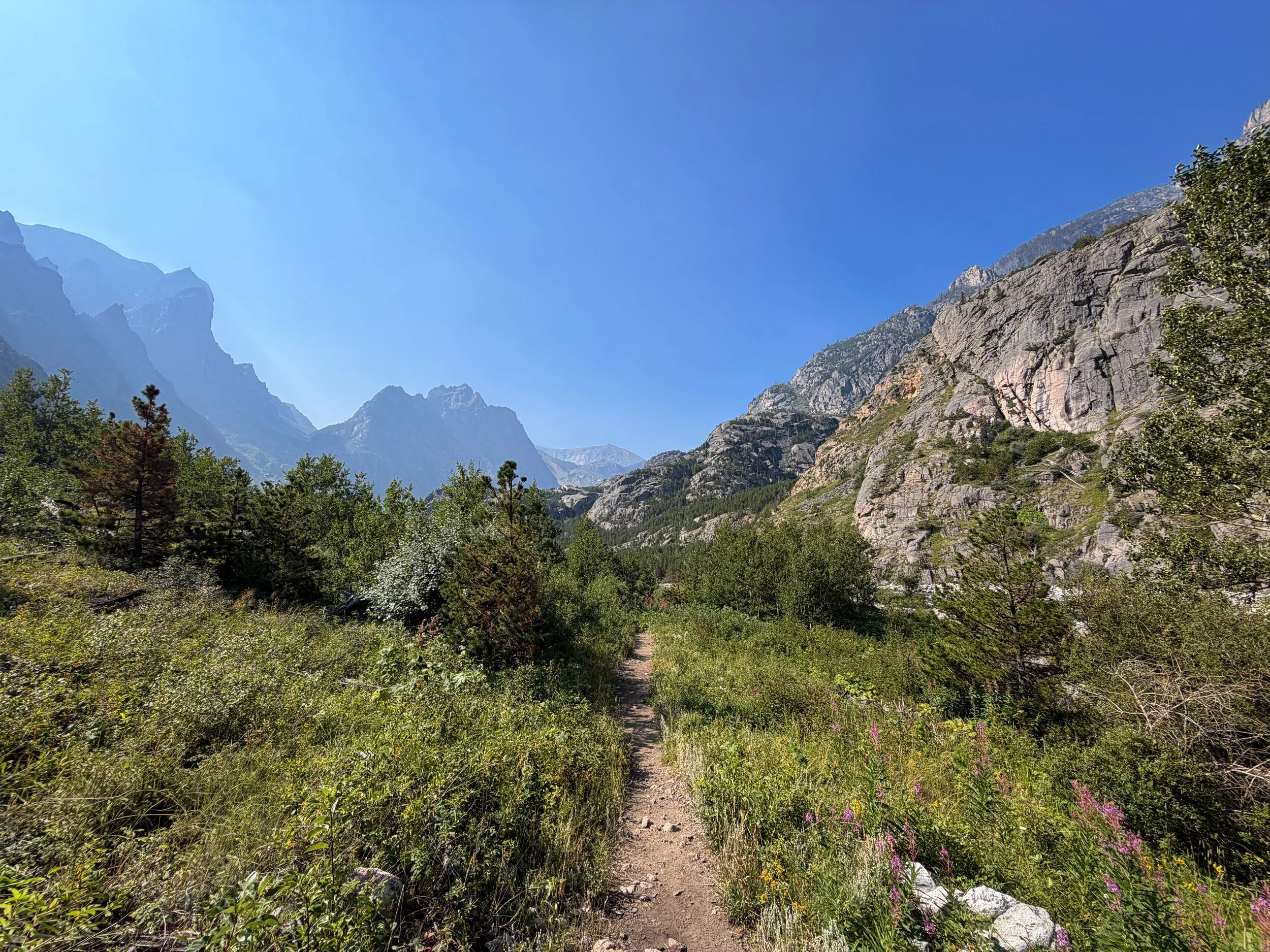 Beaten Path Trail Beartooth Mountains Montana
