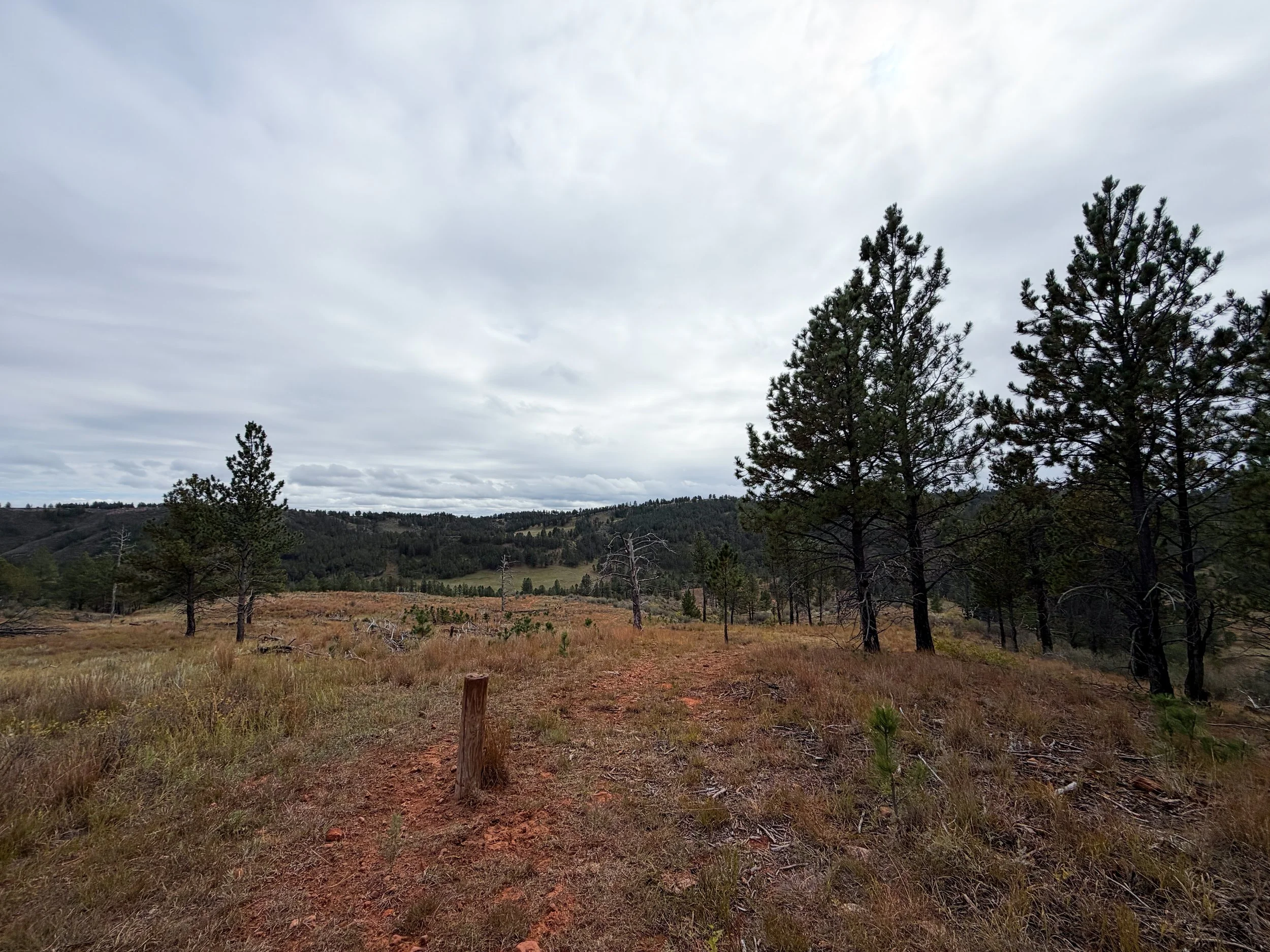 Highland Creek Trail to Wind Cave Canyon Wind Cave National Park South Dakota