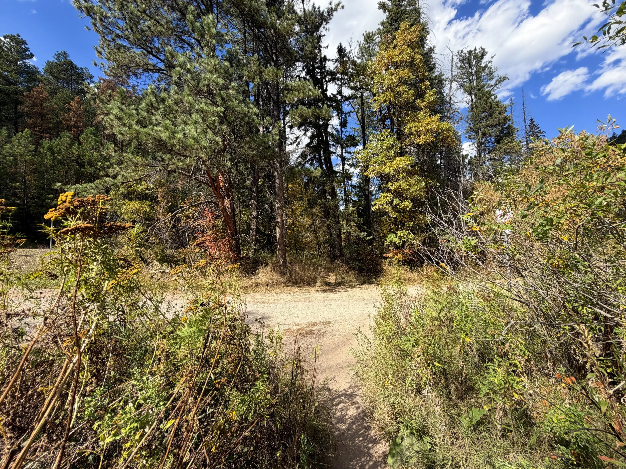 Devils Bathtub Trail Spearfish Canyon Black Hills South Dakota