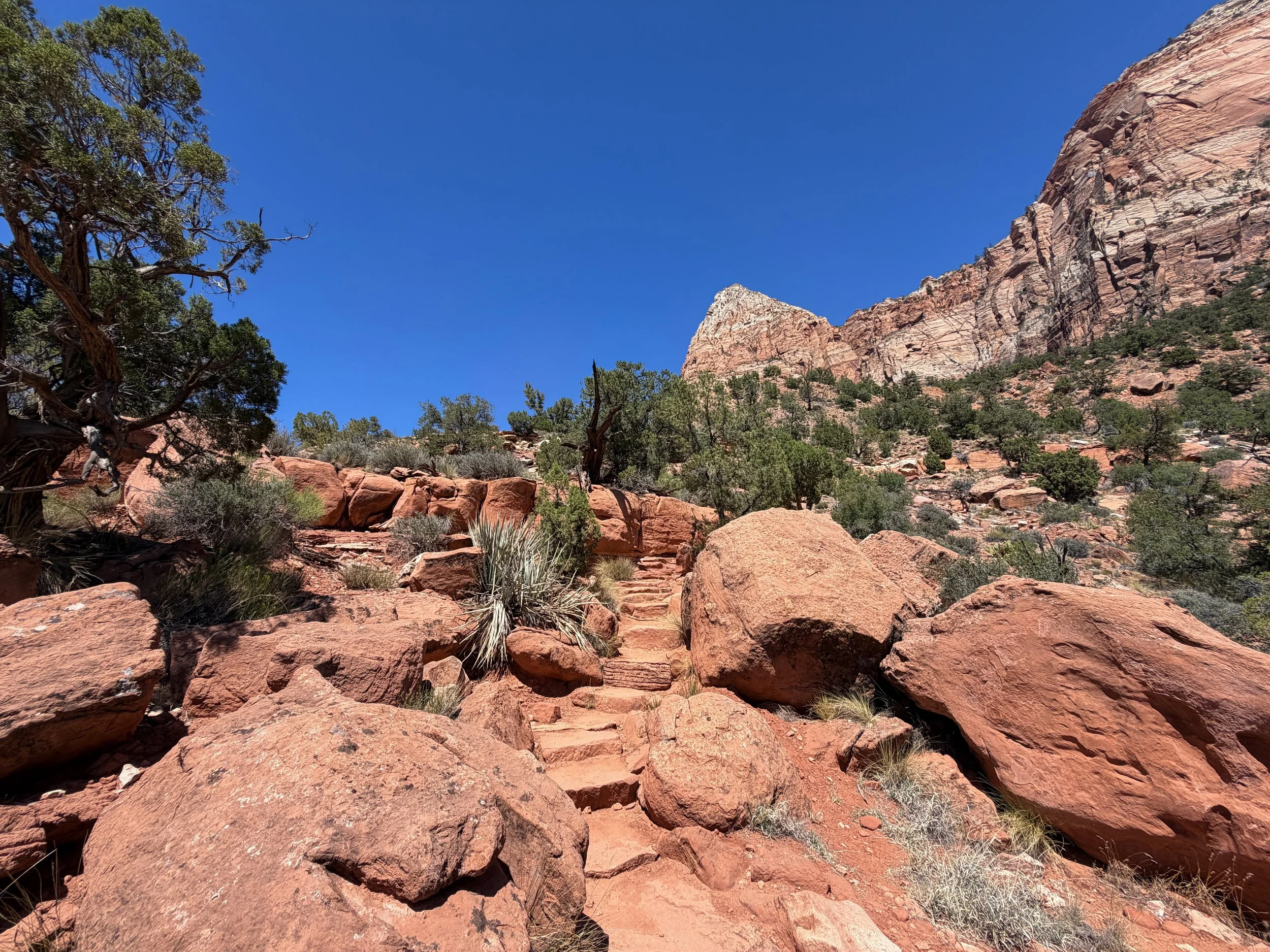 Watchman Loop Trail Zion National Park Utah